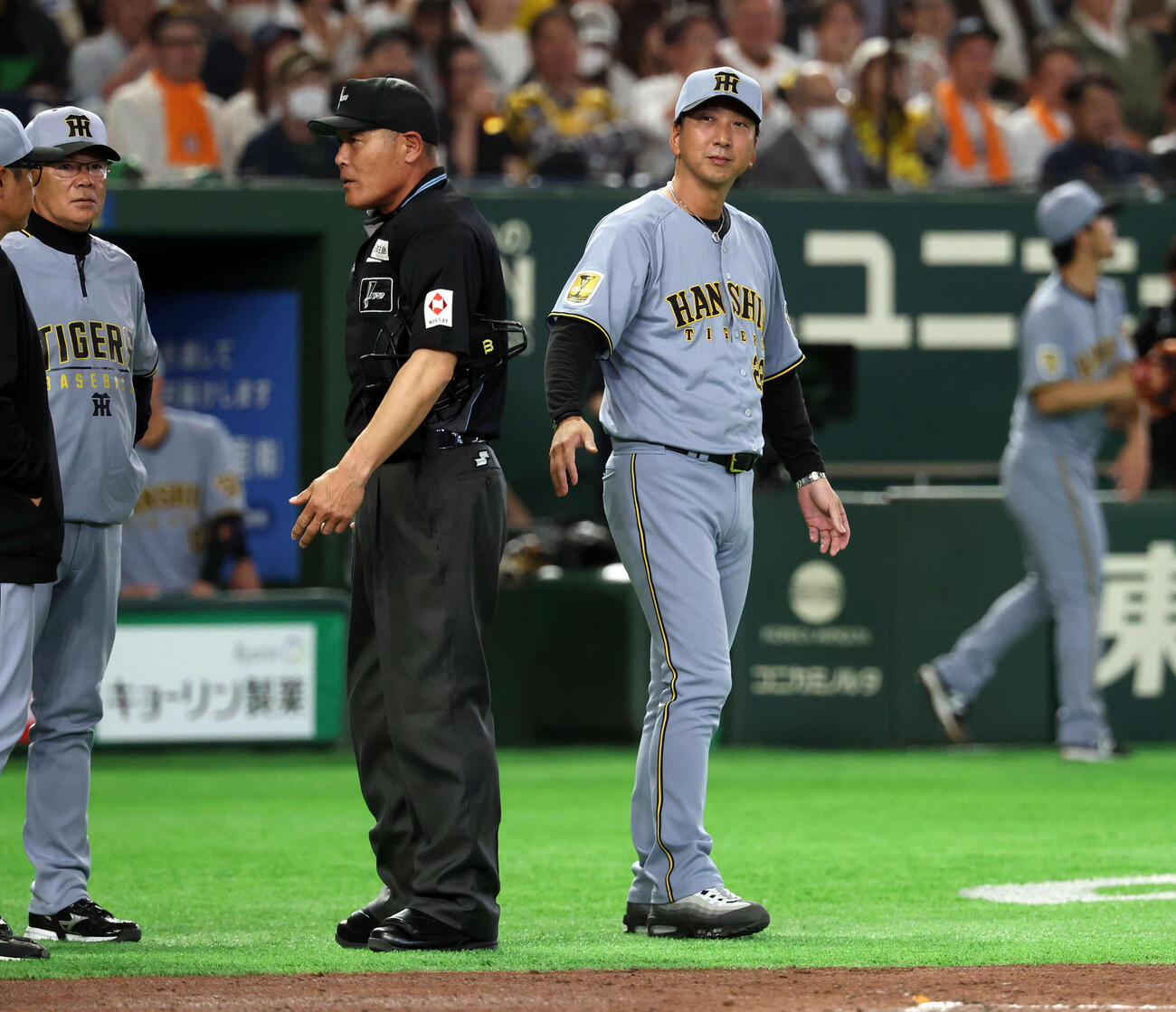 巨人対阪神　2回表阪神1死一塁、伏見が死球を受け、厳しい表情でグラウンドに出る藤川監督（撮影・浅見桂子）