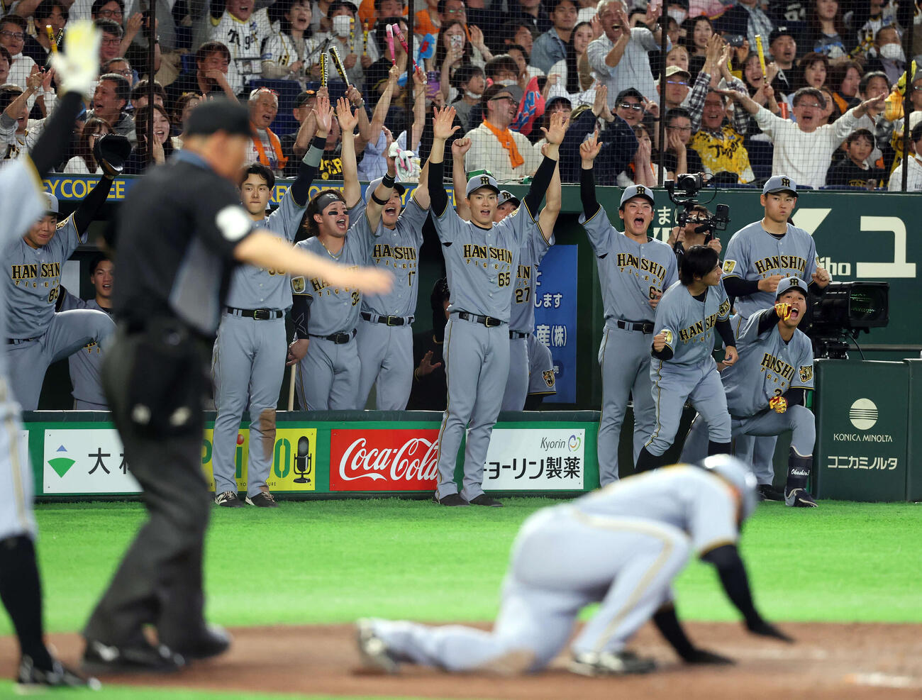 巨人対阪神　8回表阪神2死二、三塁、木浪の適時内野安打で二塁から坂本（手前）も生還し、大喜びの阪神ナイン（撮影・浅見桂子）