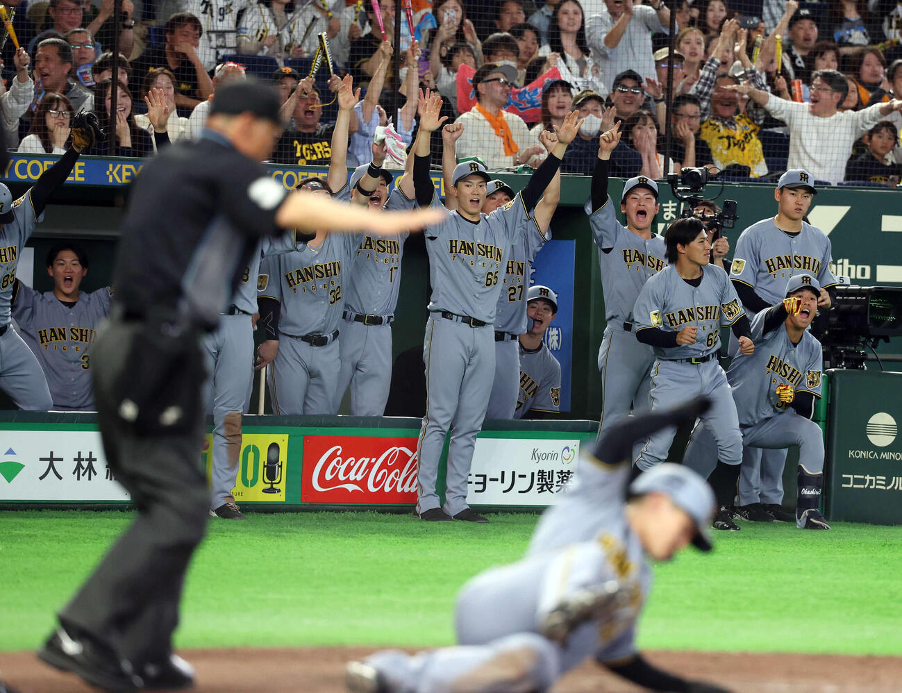 巨人対阪神　8回表阪神2死二、三塁、木浪の適時内野安打で二塁から坂本も生還し、大喜びの阪神ナイン（撮影・浅見桂子）