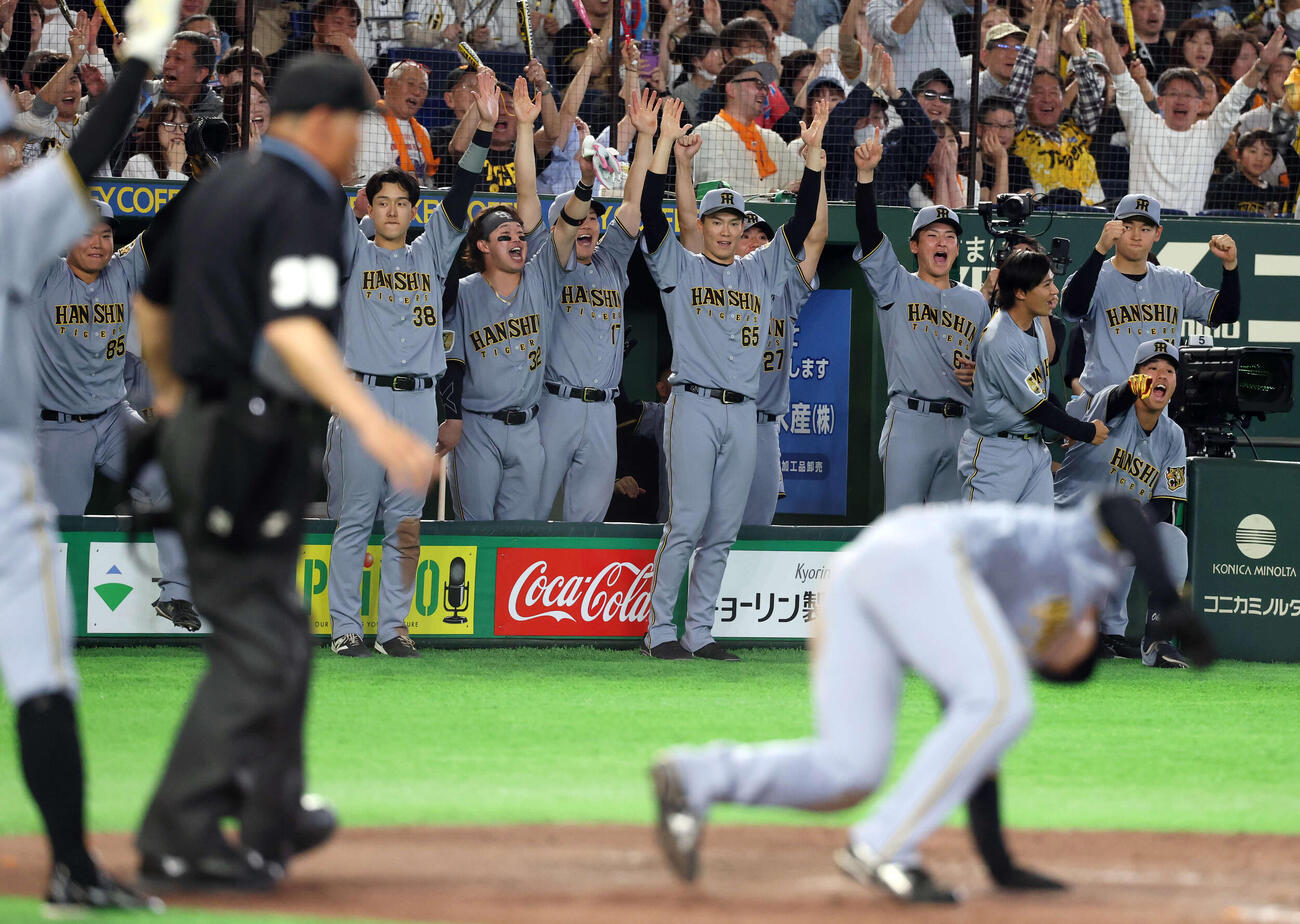 巨人対阪神　8回表阪神2死二、三塁、木浪の適時内野安打で二塁から坂本（手前）も生還し、大喜びの阪神ナイン（撮影・浅見桂子）