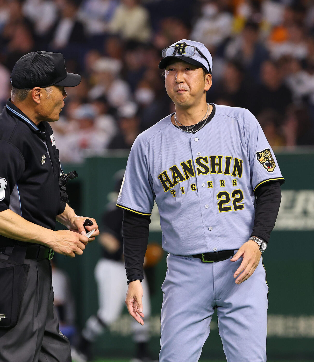 巨人対阪神　選手交代を告げる藤川監督（撮影・上田博志）