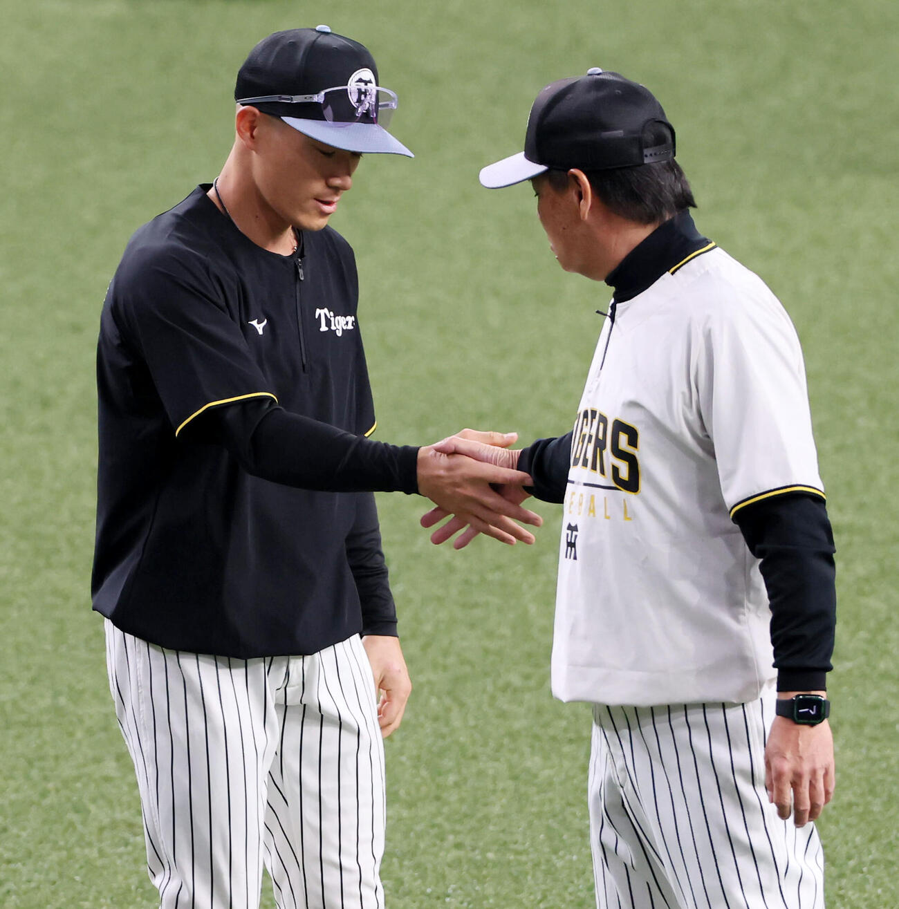 阪神対DeNA　阪神福島（左）が1軍に合流し和田ヘッドコーチと握手する（撮影・加藤哉）