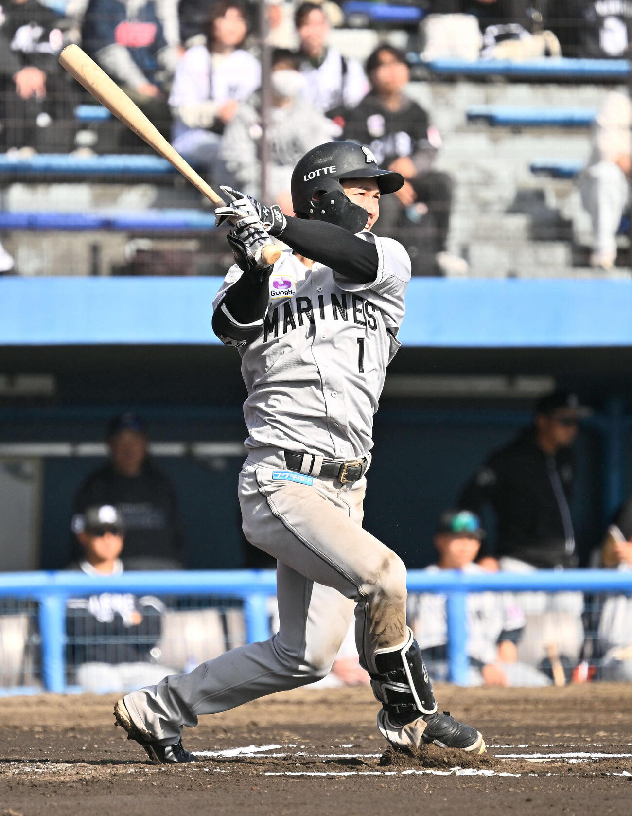 ロッテ藤原恭大（26年3月撮影）