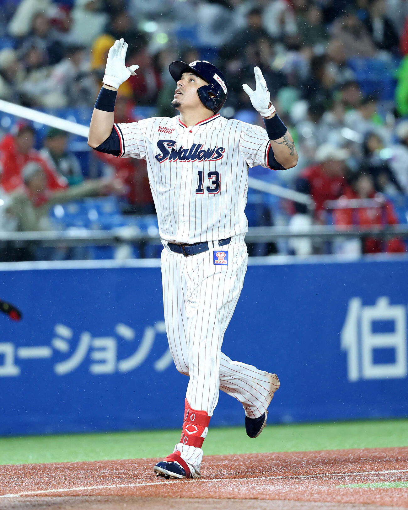 ヤクルト対広島　4回裏ヤクルト1死、オスナはソロ本塁打を放ちポーズを決める（撮影・鈴木正人）　