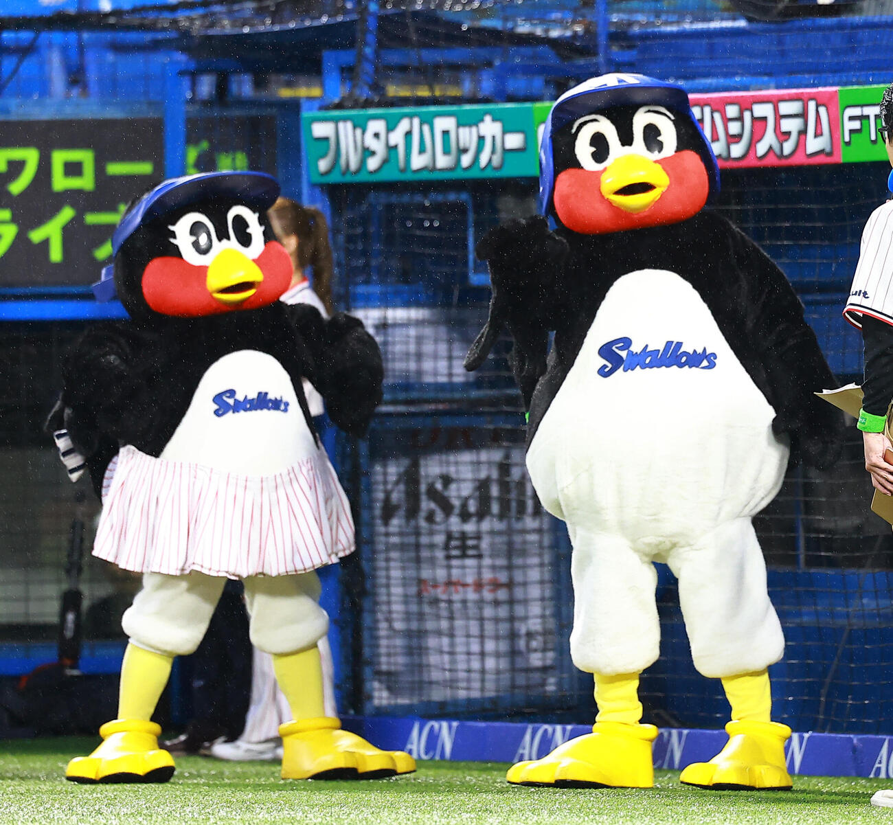 ヤクルト対広島　盛り上げるつばみ（左）とつば九郎（撮影・野上伸悟）