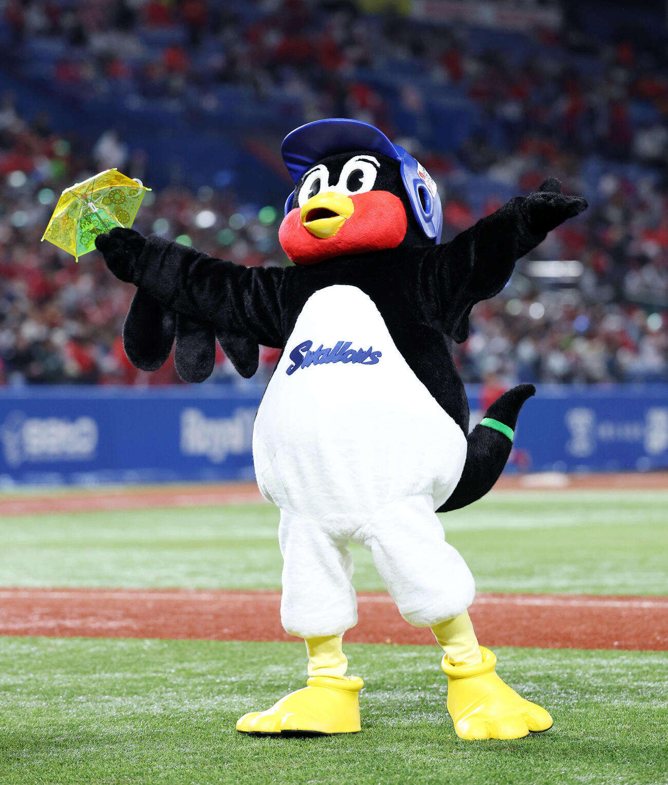 ヤクルト対広島　東京音頭で応援するつば九郎（撮影・鈴木正人）　
