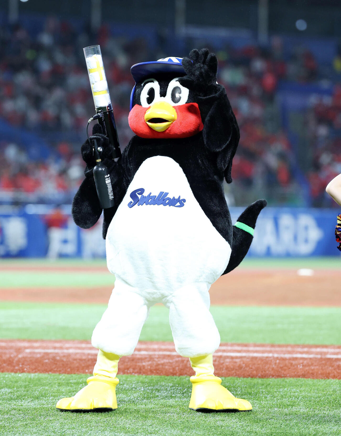 ヤクルト対広島　バズーカタイムに臨むつば九郎（撮影・鈴木正人）　