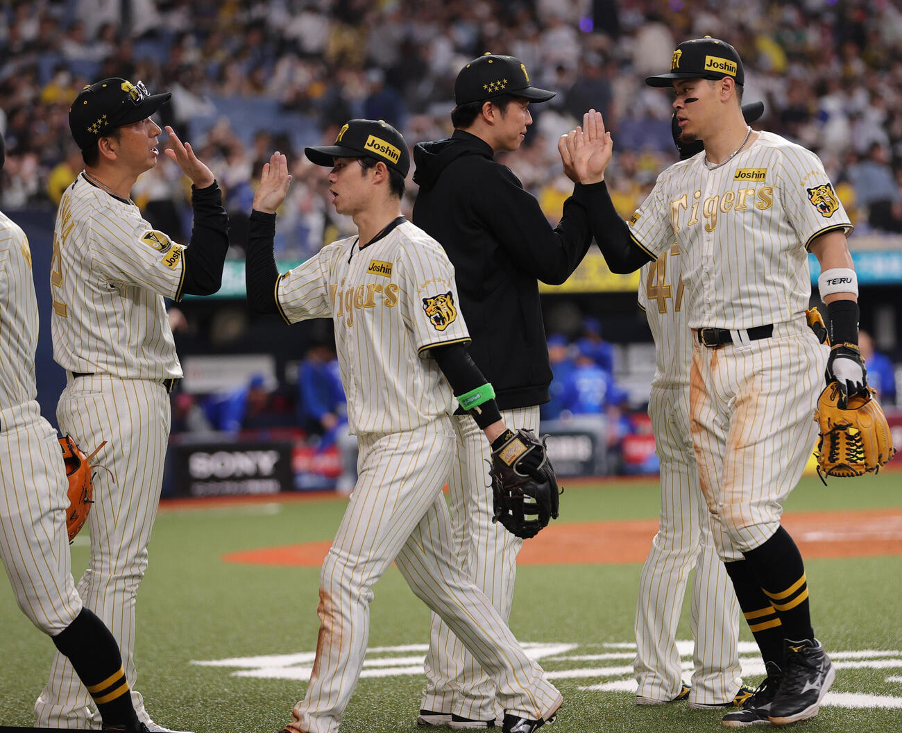 阪神対DeNA DeNAに勝利した藤川監督（左）はベンチ前でナインとタッチをかわす（撮影・上山淳一）