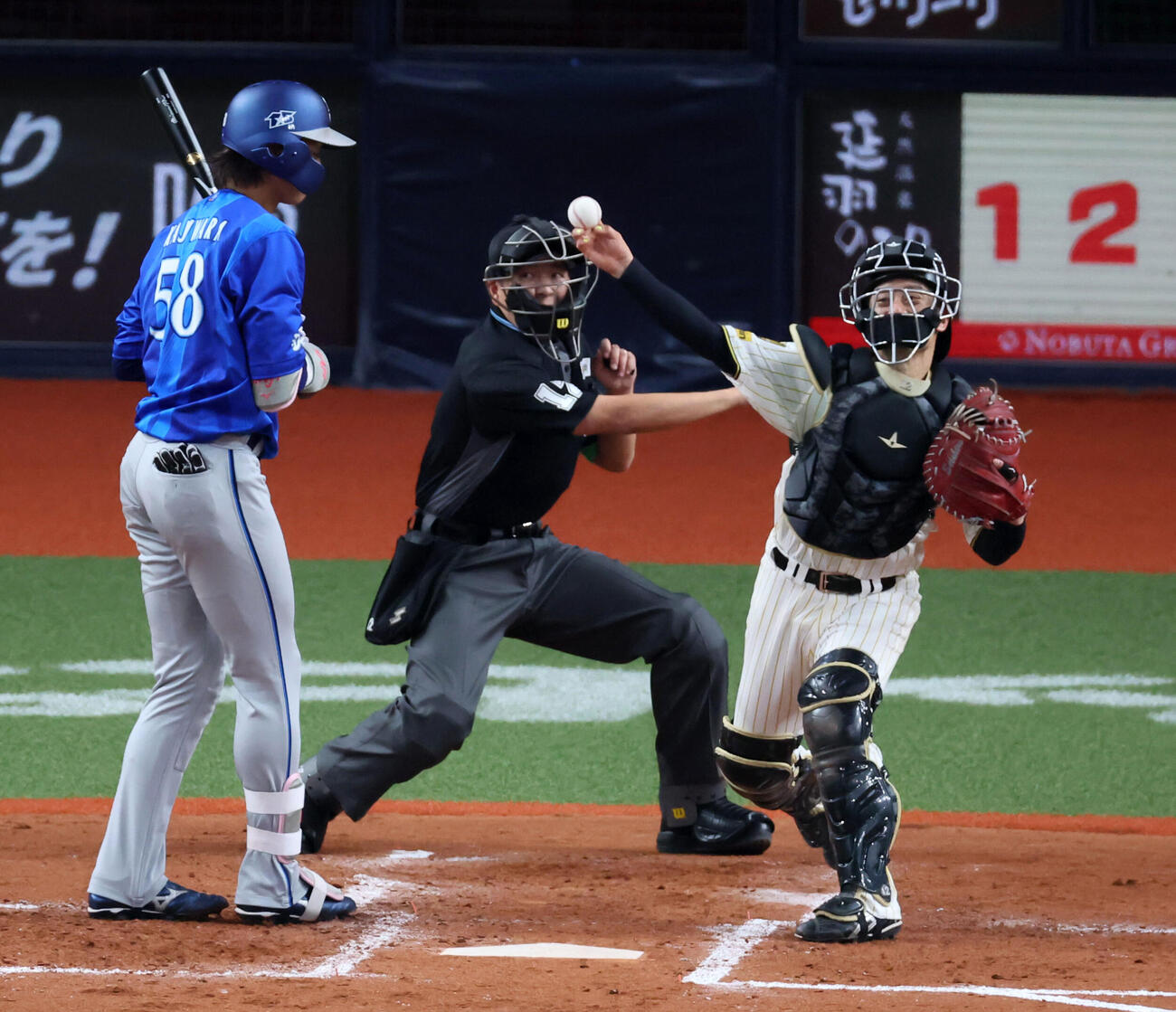 阪神対DeNA 4回表DeNA2死一塁、坂本は打者梶原のとき一塁走者ヒュンメルの二塁盗塁を刺す（撮影・加藤哉）