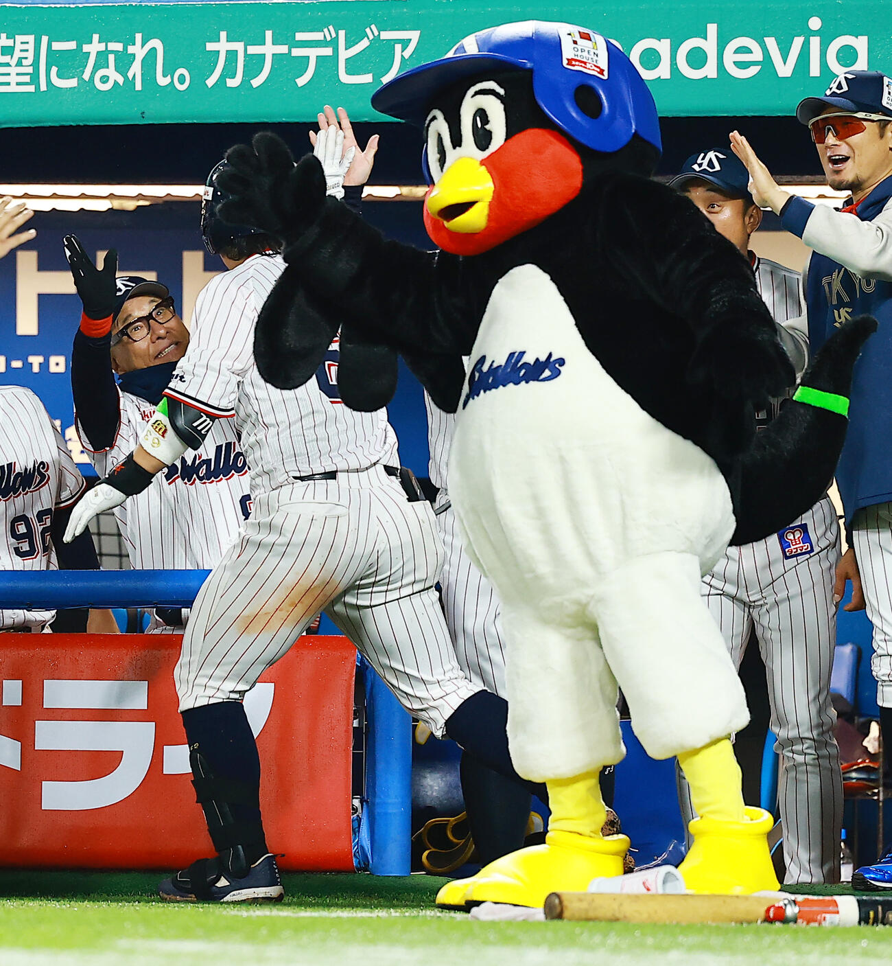 ヤクルト対広島　5回裏ヤクルト2死一塁、2点本塁打を放った増田を拍手で迎える池山監督（奥左）。手前はつば九郎（撮影・野上伸悟）
