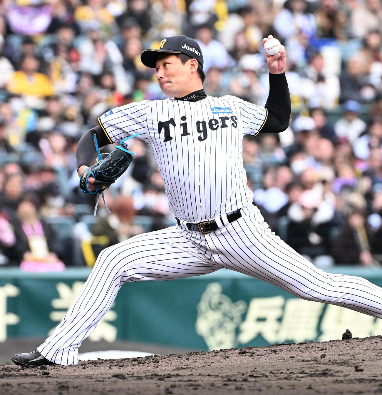 阪神岩崎優（2026年3月撮影）