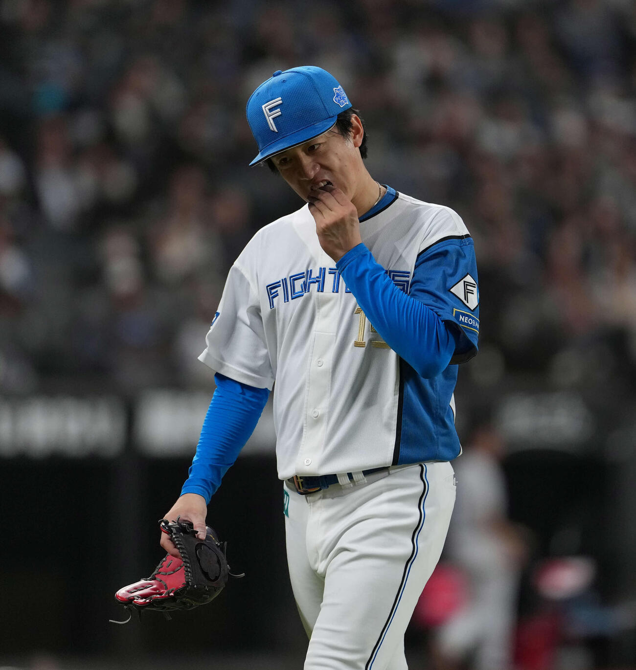 日本ハム対ロッテ　6回途中で降板する日本ハム北山（撮影・井上学）