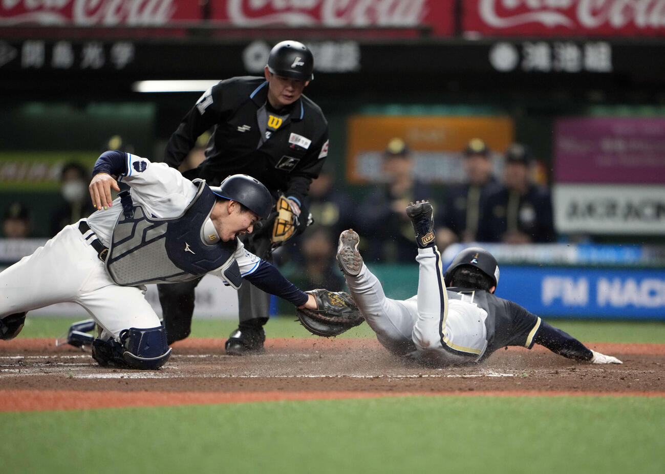 西武対オリックス　6回表オリックス1死二、三塁、中川の打球を長谷川は本塁に送球するも間に合わず太田（右）が生還（撮影・小島史椰）
