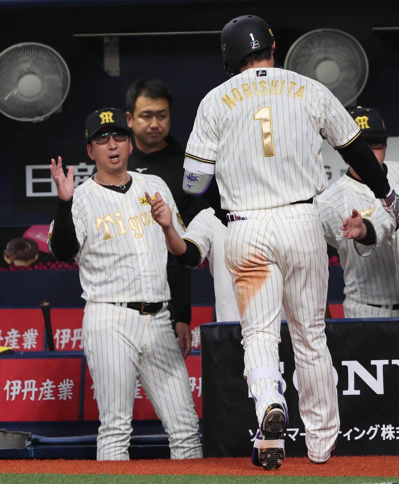 阪神対DeNA 6回裏阪神2死、本塁打の森下を迎える藤川監督（撮影・西尾就之）