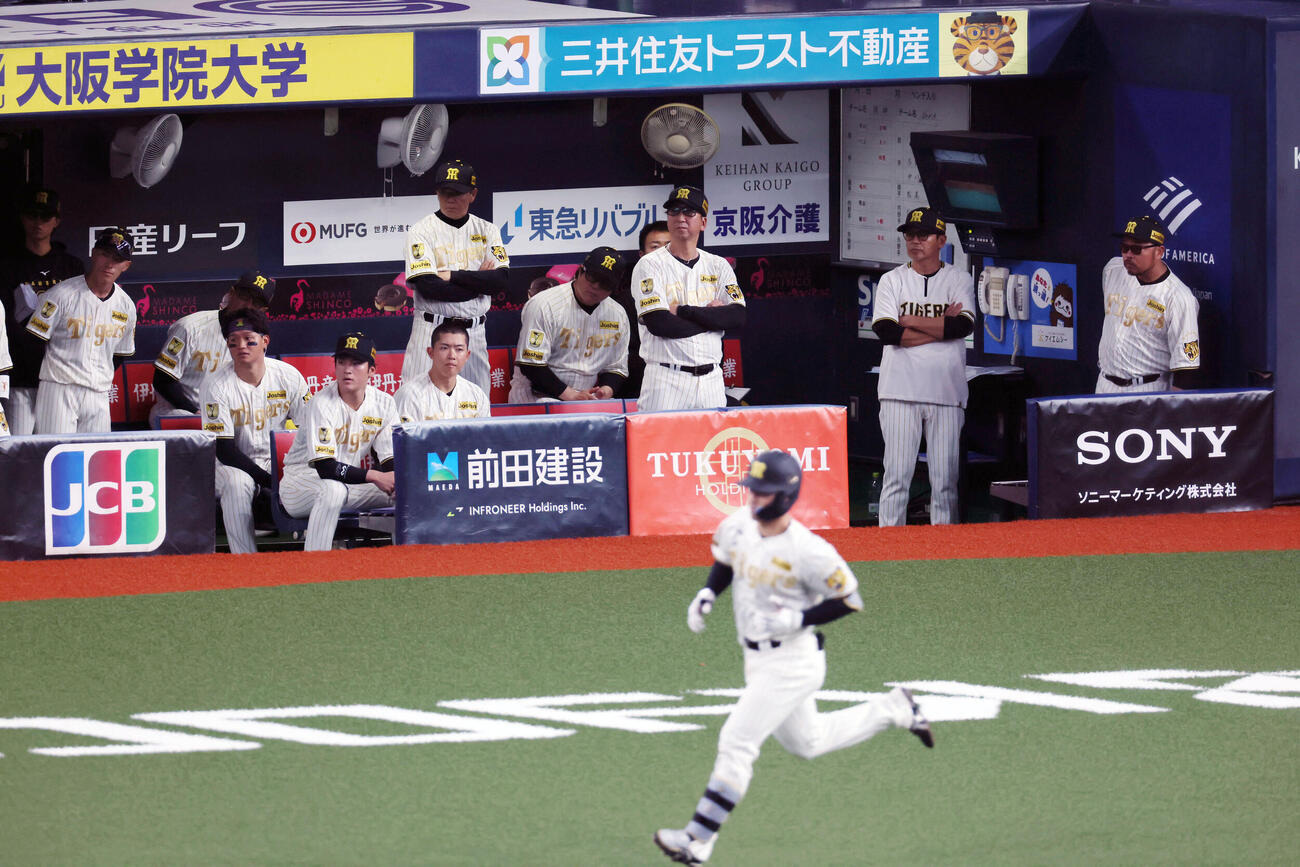 阪神対DeNA  9回裏阪神2死、坂本の右飛をベンチから見る藤川監督とナイン（撮影・加藤哉）