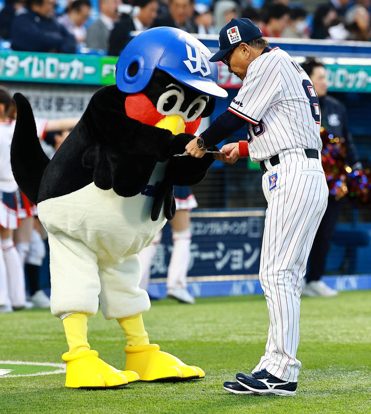 ヤクルト対広島　メンバー表をヤクルト池山監督（右）から受けとるつば九郎（撮影・野上伸悟）