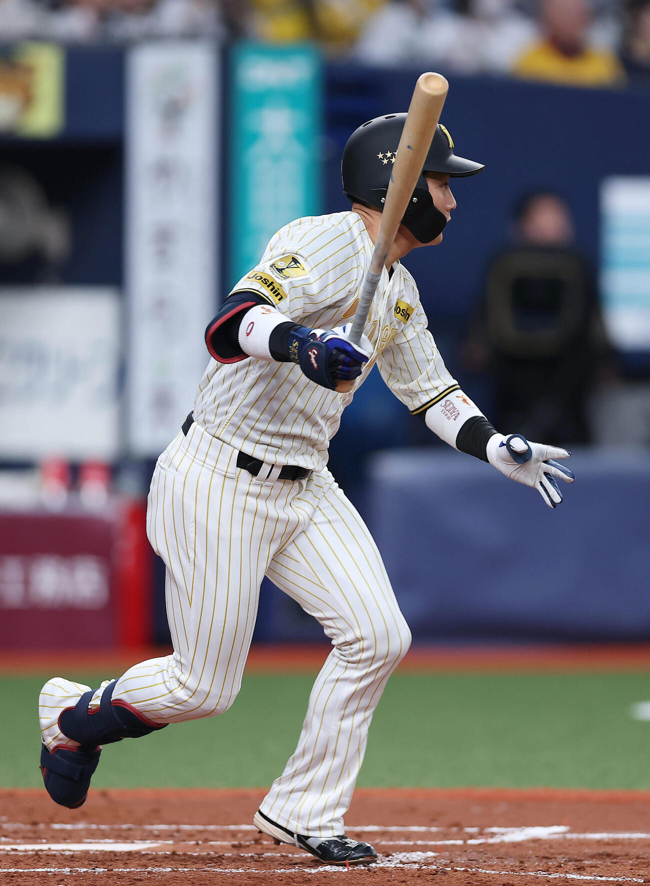 阪神対DeNA 3回裏阪神2死、左前打を放つ木浪（撮影・前田充）
