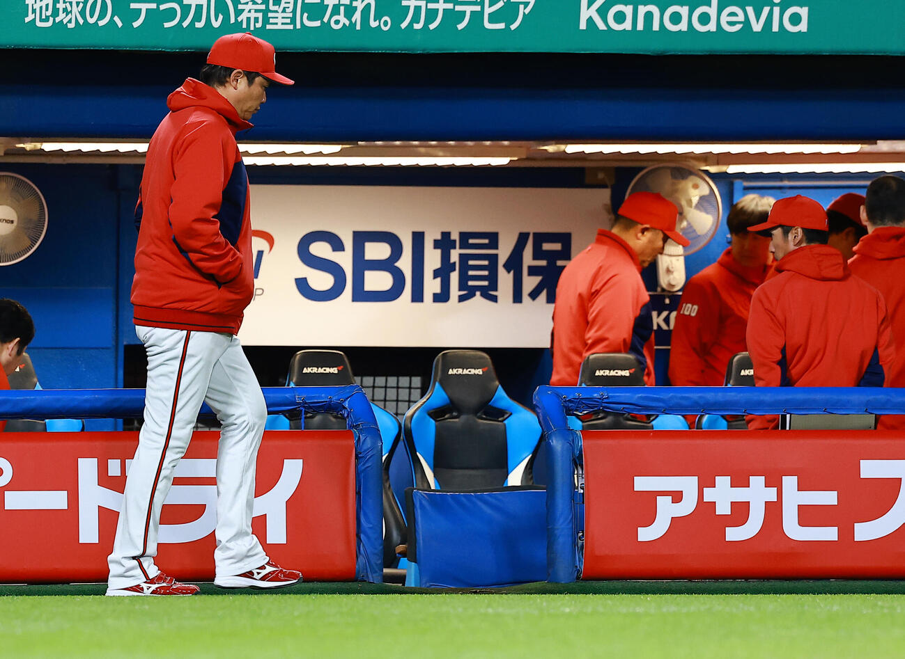 ヤクルト対広島　サヨナラ負けを喫し引き揚げる広島新井監督（撮影・野上伸悟）
