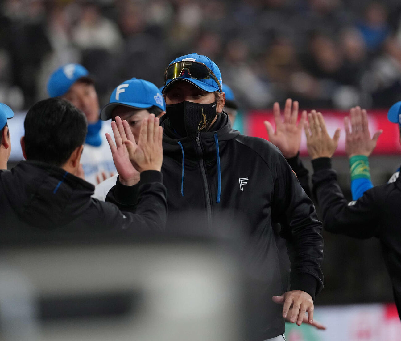 日本ハム対ロッテ　勝利のハイタッチをかわす日本ハム新庄監督（撮影・井上学）