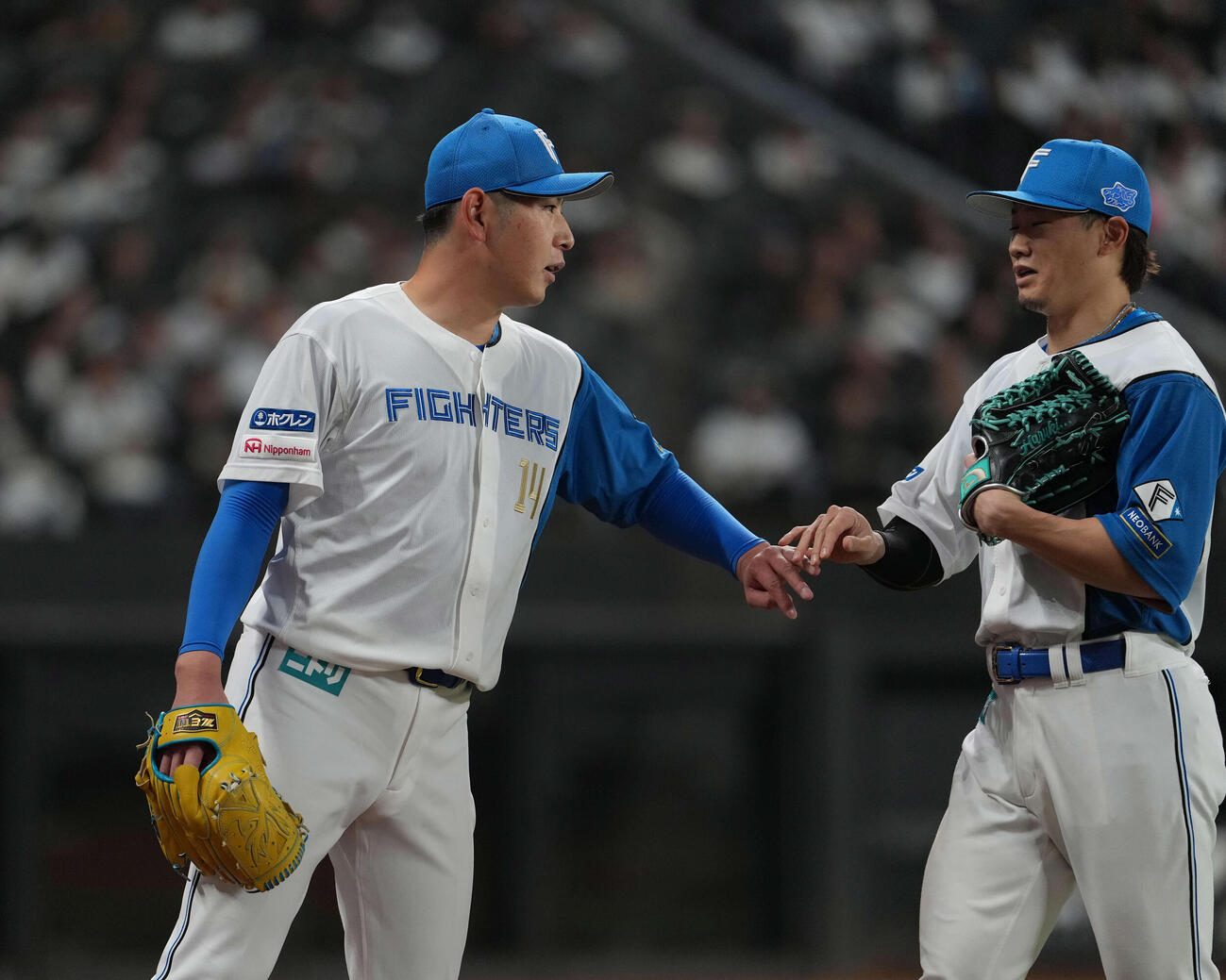 日本ハム対ロッテ　4回を終えタッチをかわす日本ハム加藤貴之（左）と西川（撮影・井上学）