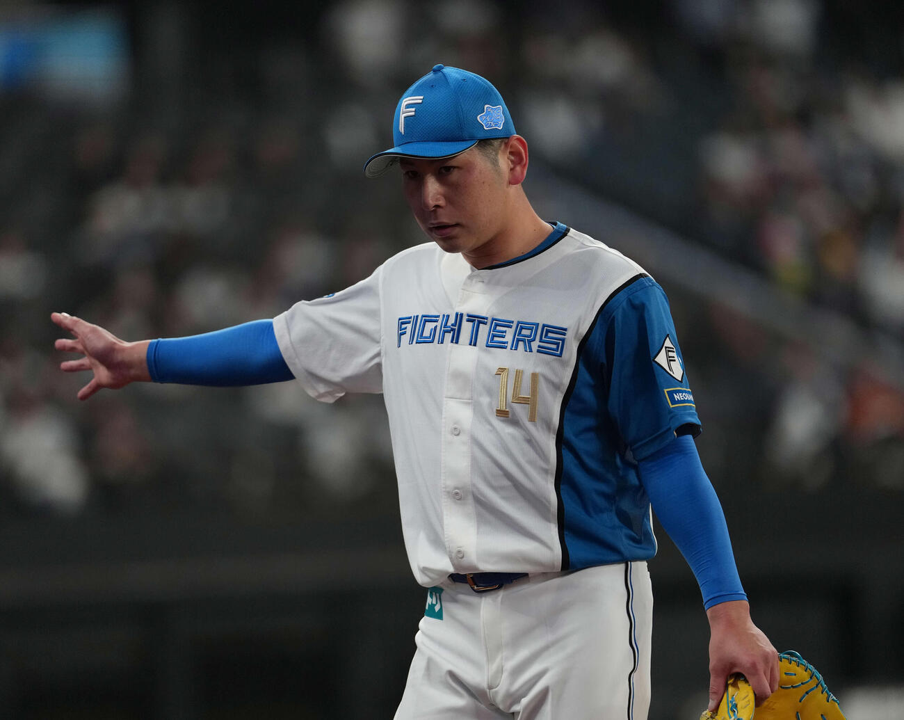 日本ハム対ロッテ　2回を無失点で終え引き揚げる日本ハム加藤貴（撮影・井上学）