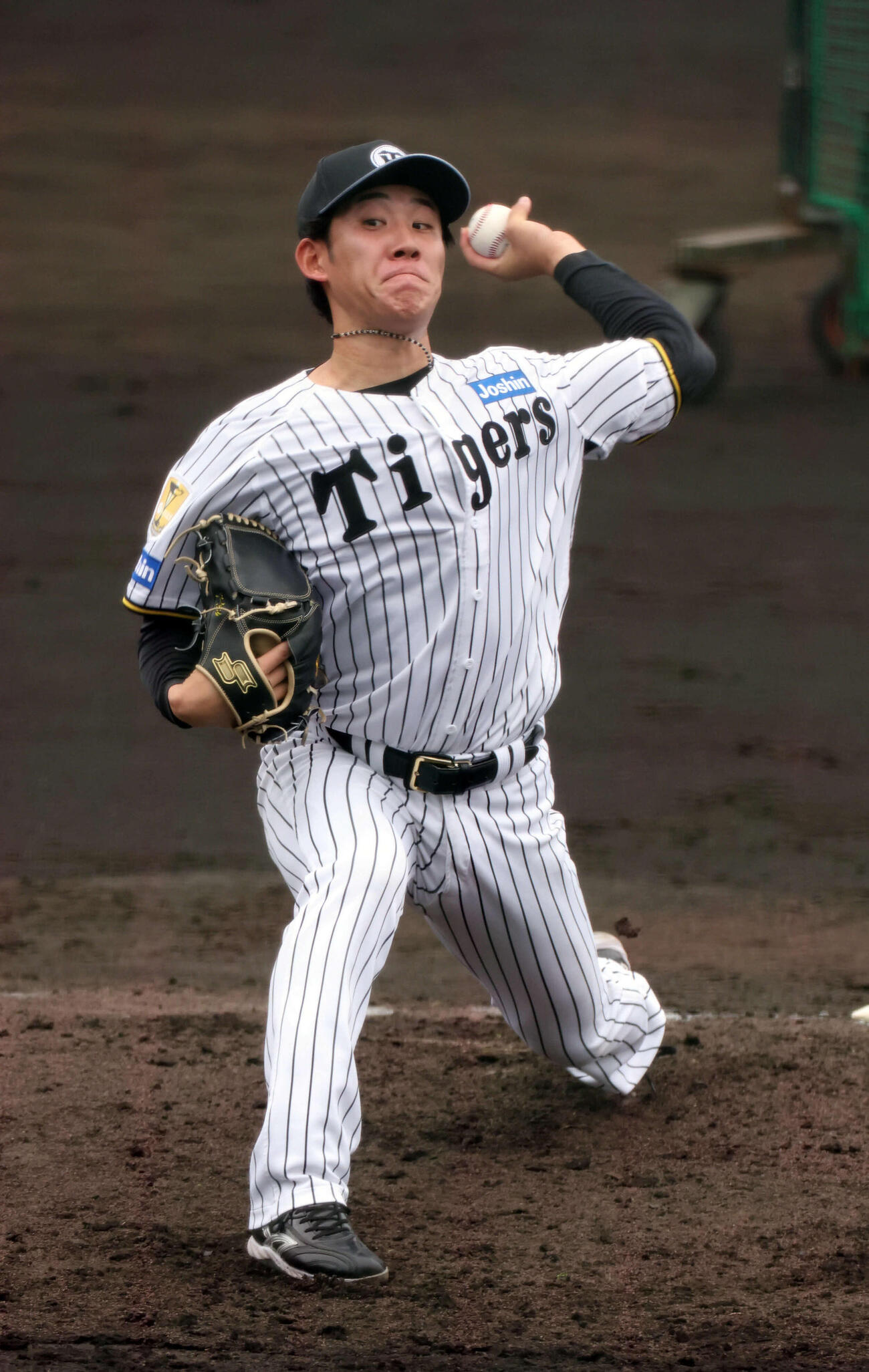 阪神富田蓮（2026年2月撮影）