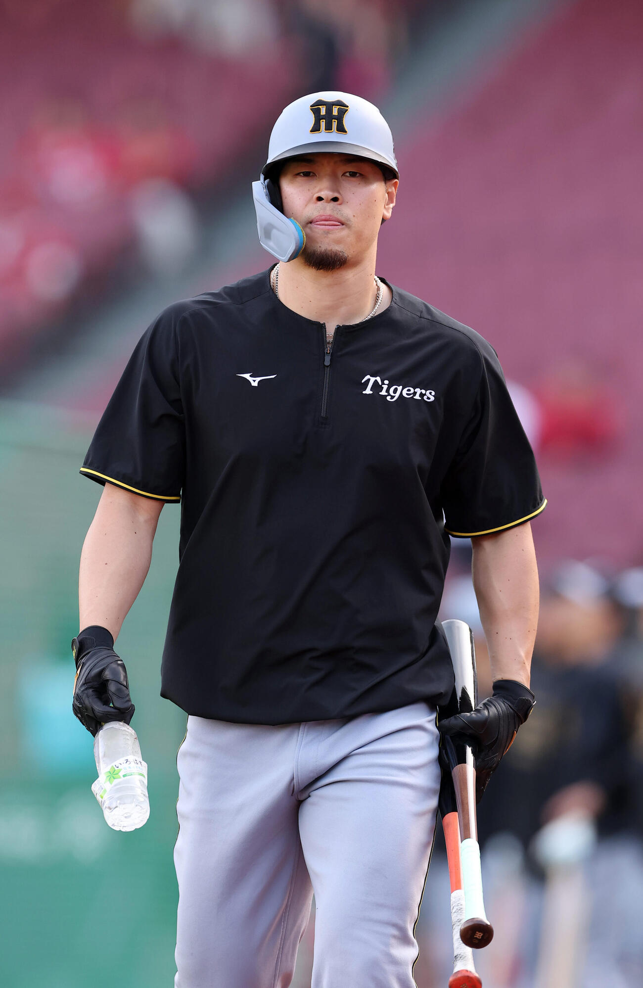 広島対阪神　試合前練習を行う阪神佐藤（撮影・前田充）