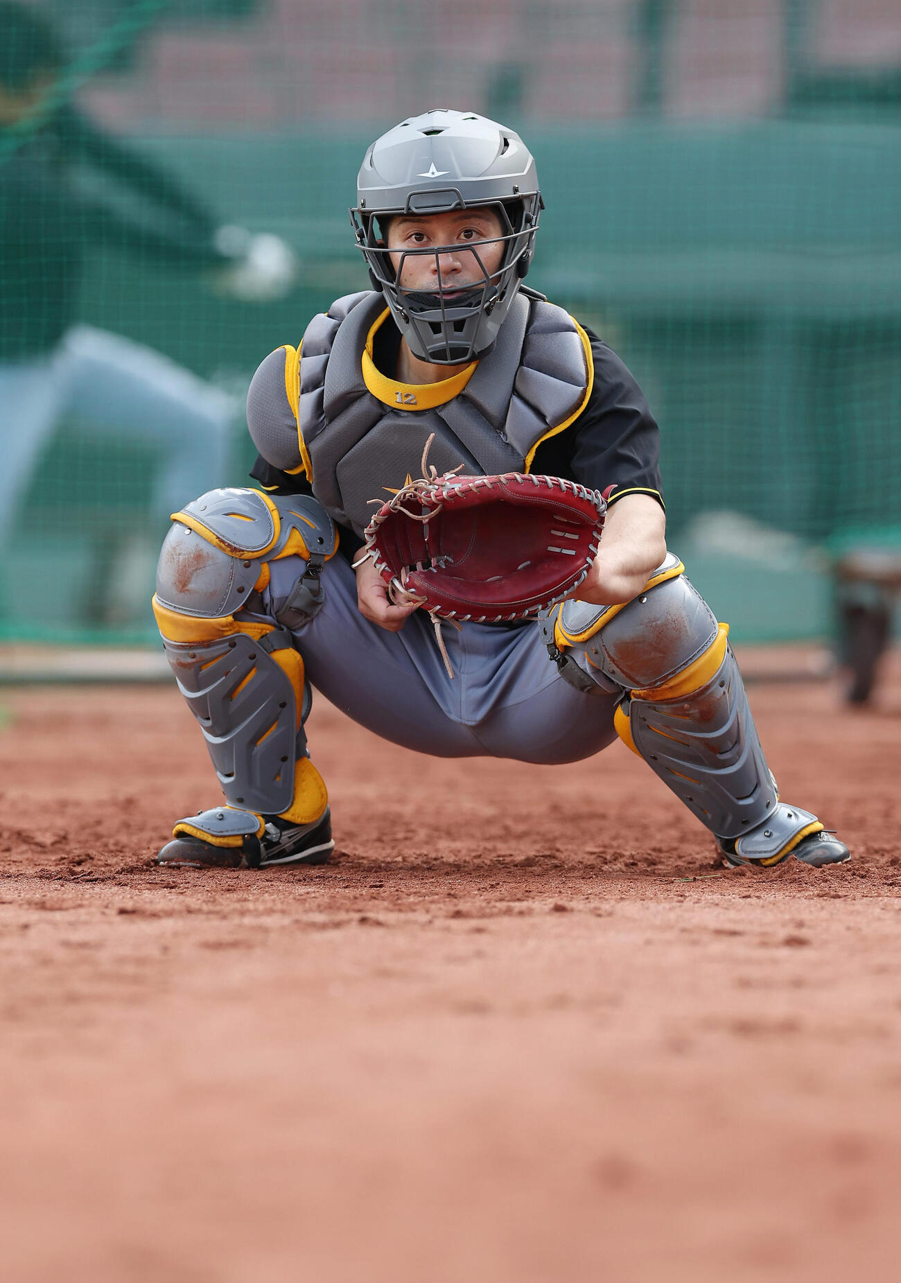 広島対阪神　試合前練習を行う阪神坂本（撮影・前田充）