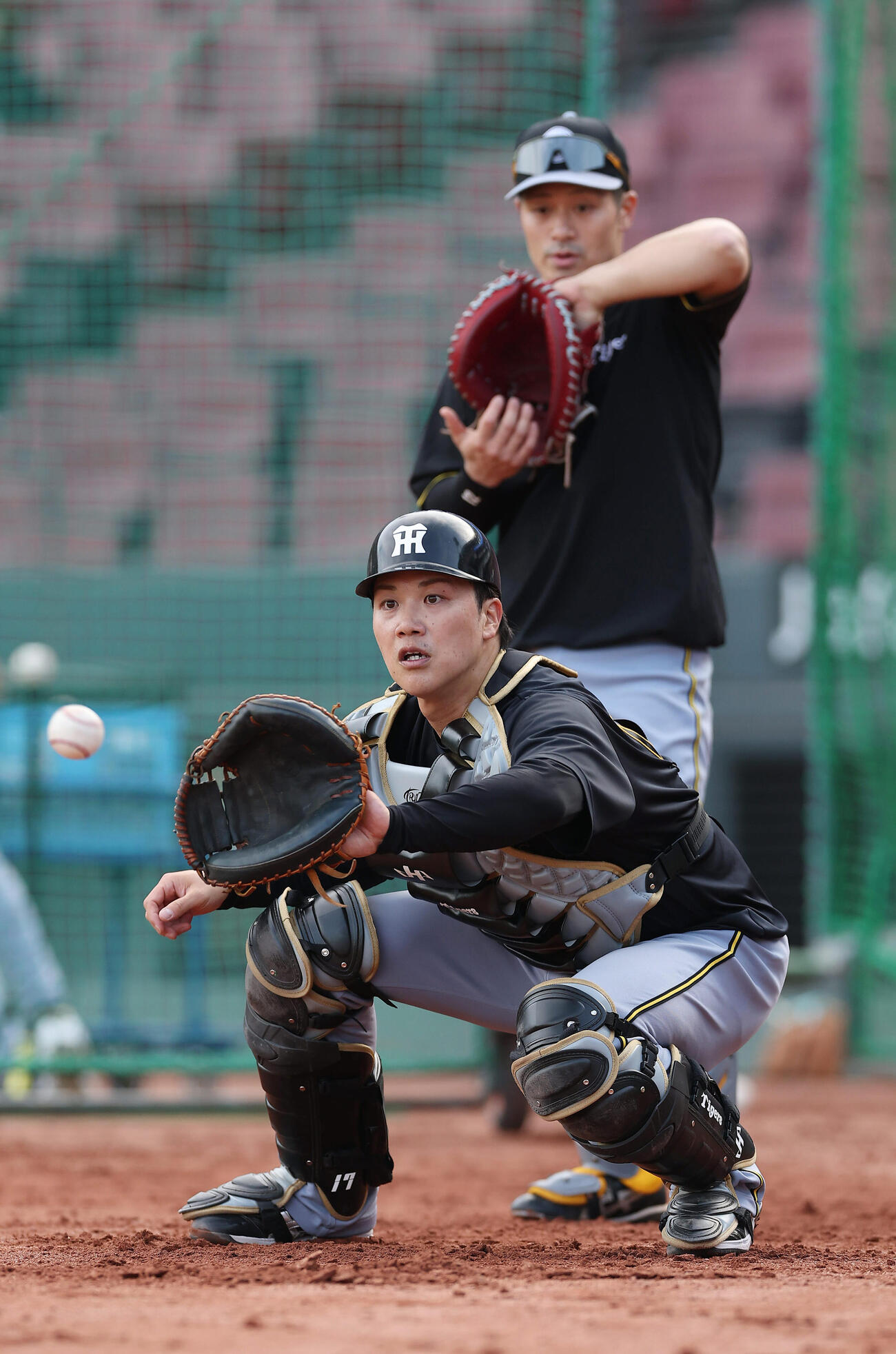 広島対阪神　試合前練習を行う阪神伏見（手前）と坂本（撮影・前田充）