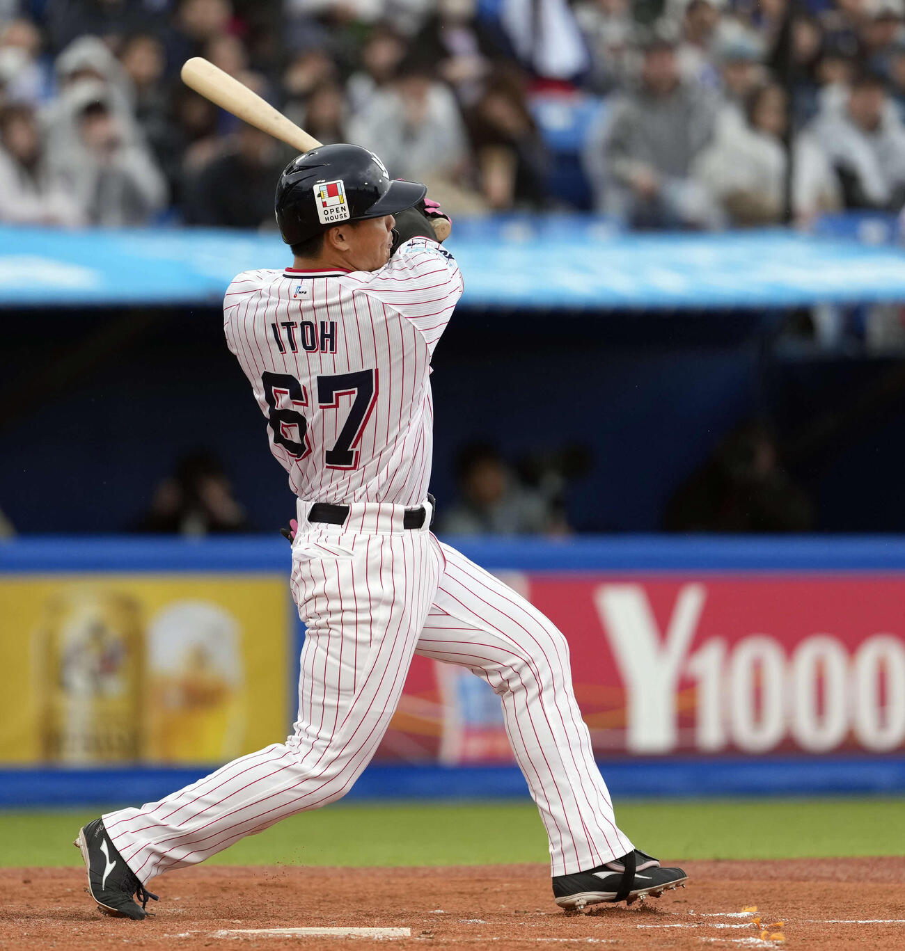 ヤクルト対中日　2回裏ヤクルト1死、ソロ本塁打を放つ伊藤（撮影・小島史椰）