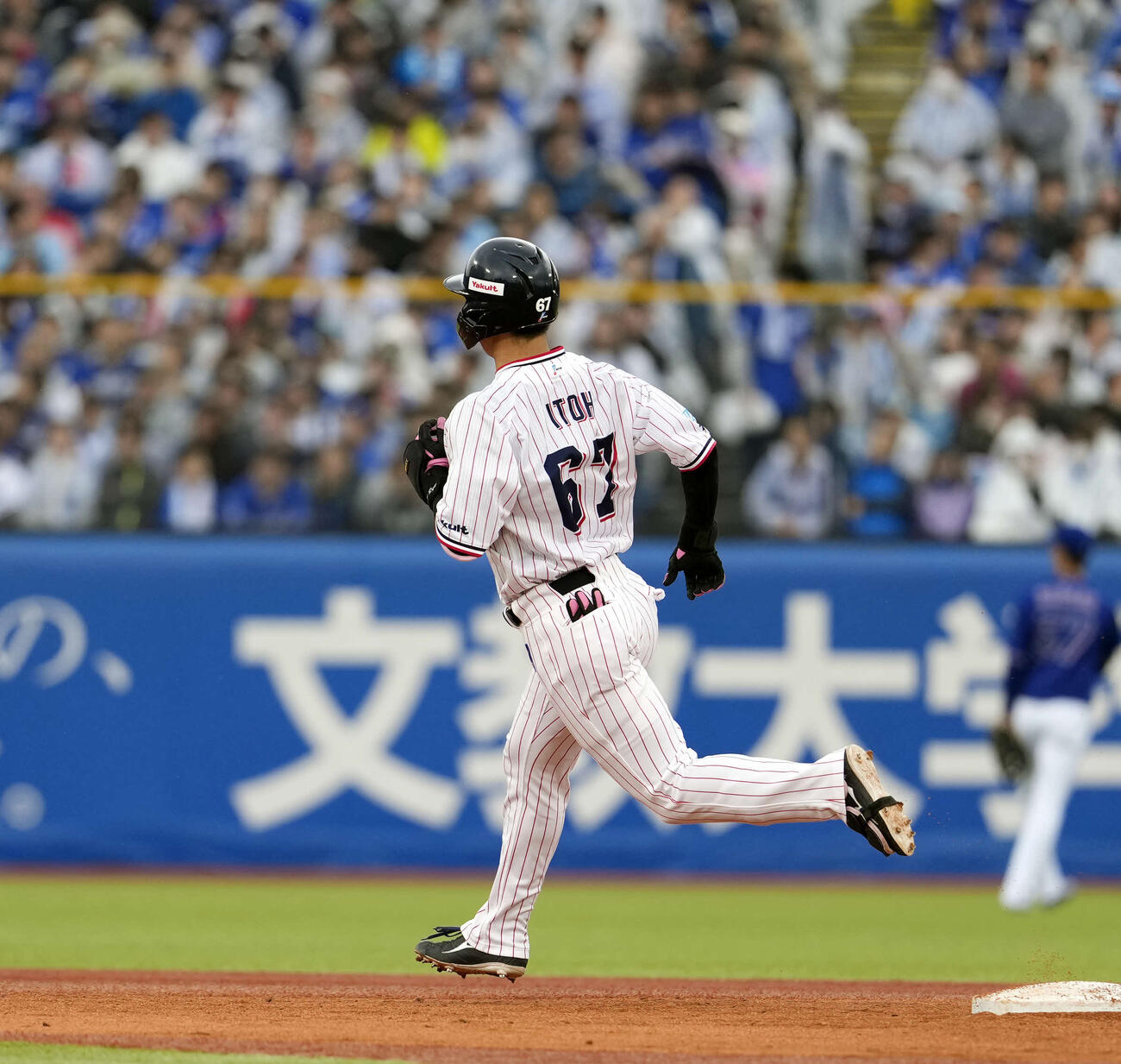 ヤクルト対中日　2回裏ヤクルト1死、ソロ本塁打を放つ伊藤（撮影・小島史椰）