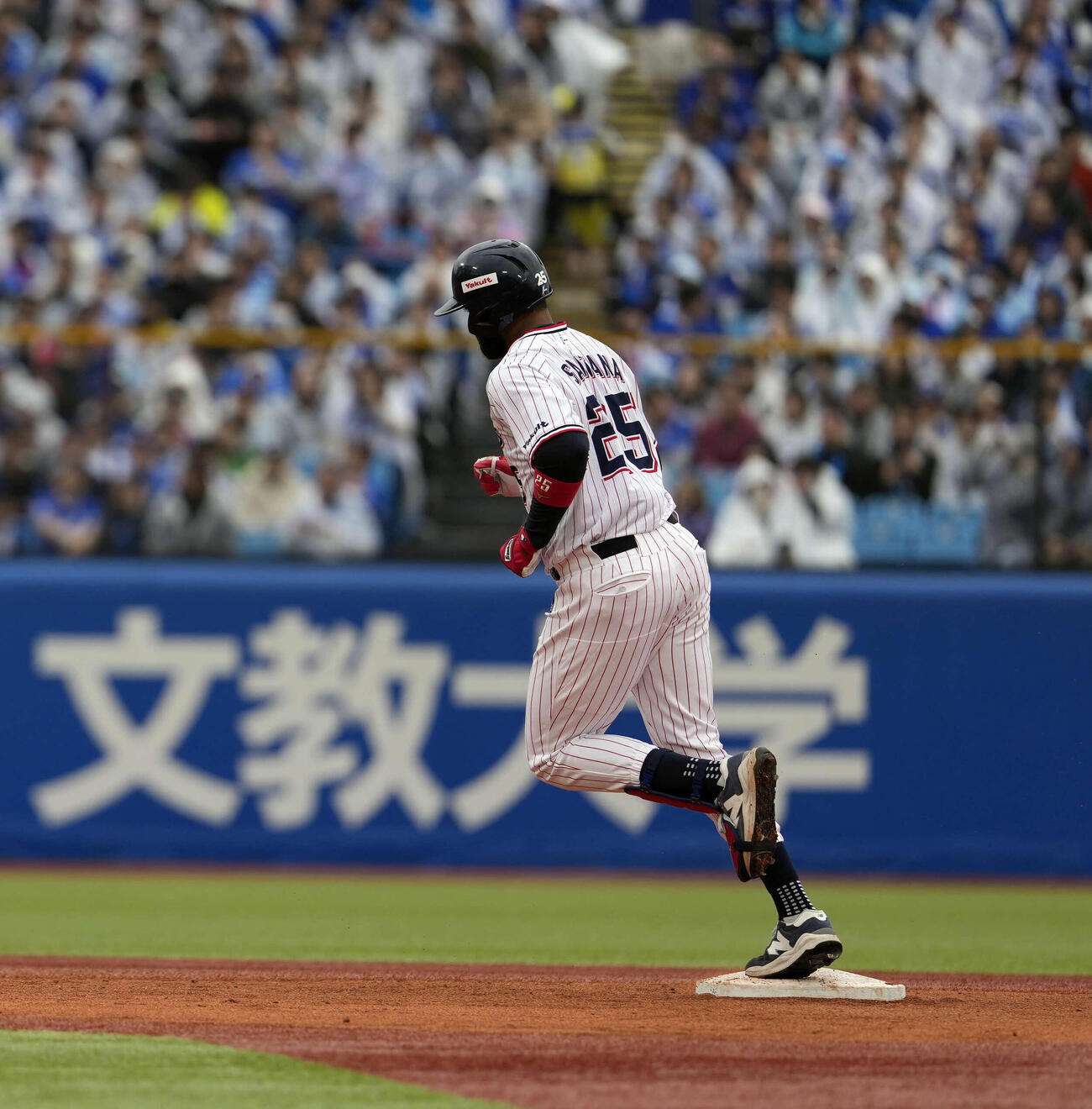 ヤクルト対中日　3回裏ヤクルト無死、ソロ本塁打を放つサンタナ（撮影・小島史椰）
