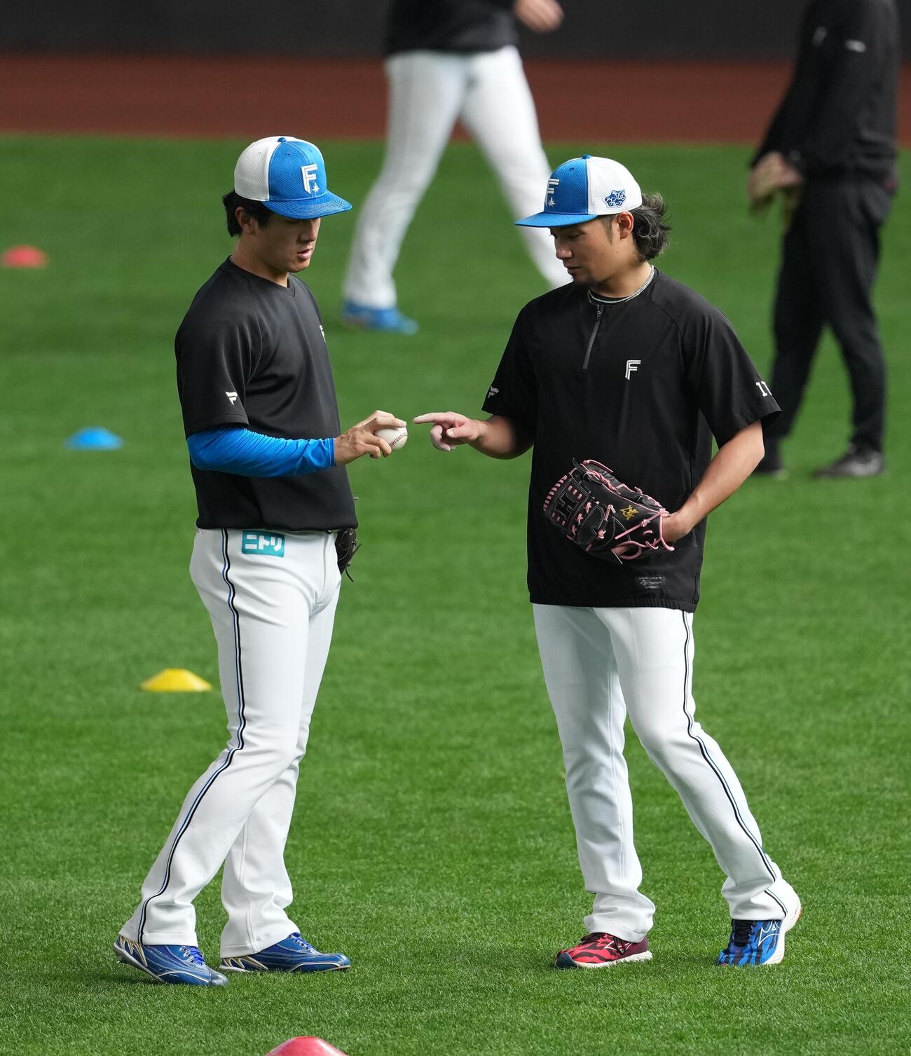 日本ハム対オリックス　試合前の練習に臨む日本ハム伊藤（右）と北山（撮影・井上学）