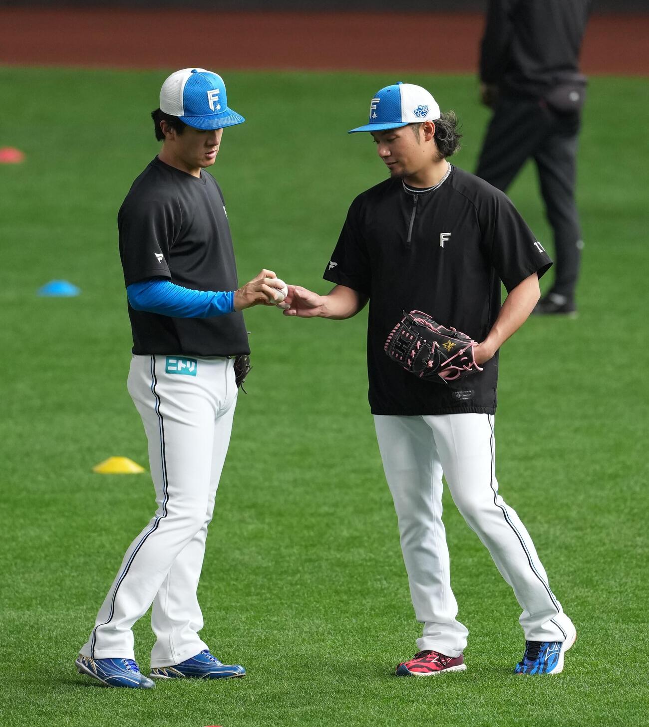 日本ハム対オリックス　試合前の練習に臨む日本ハム伊藤（右）と北山（撮影・井上学）