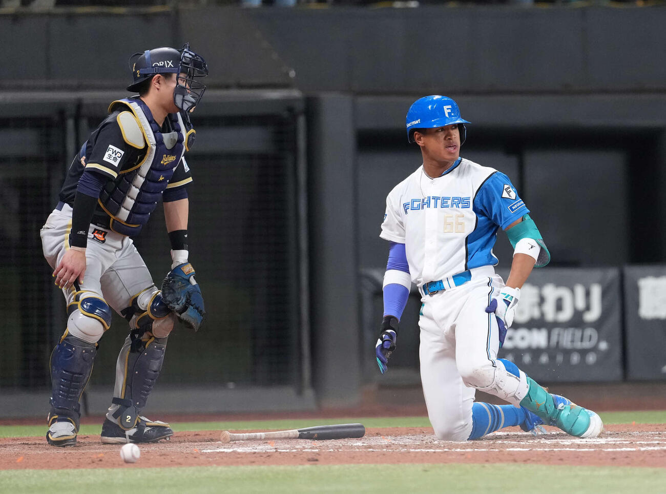 日本ハム対オリックス　6回裏日本ハム1死、死球を受ける万波（撮影・井上学）