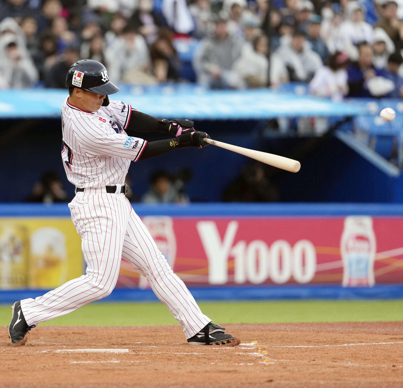 ヤクルト対中日　2回裏ヤクルト1死、本塁打を放つ伊藤（撮影・小島史椰）