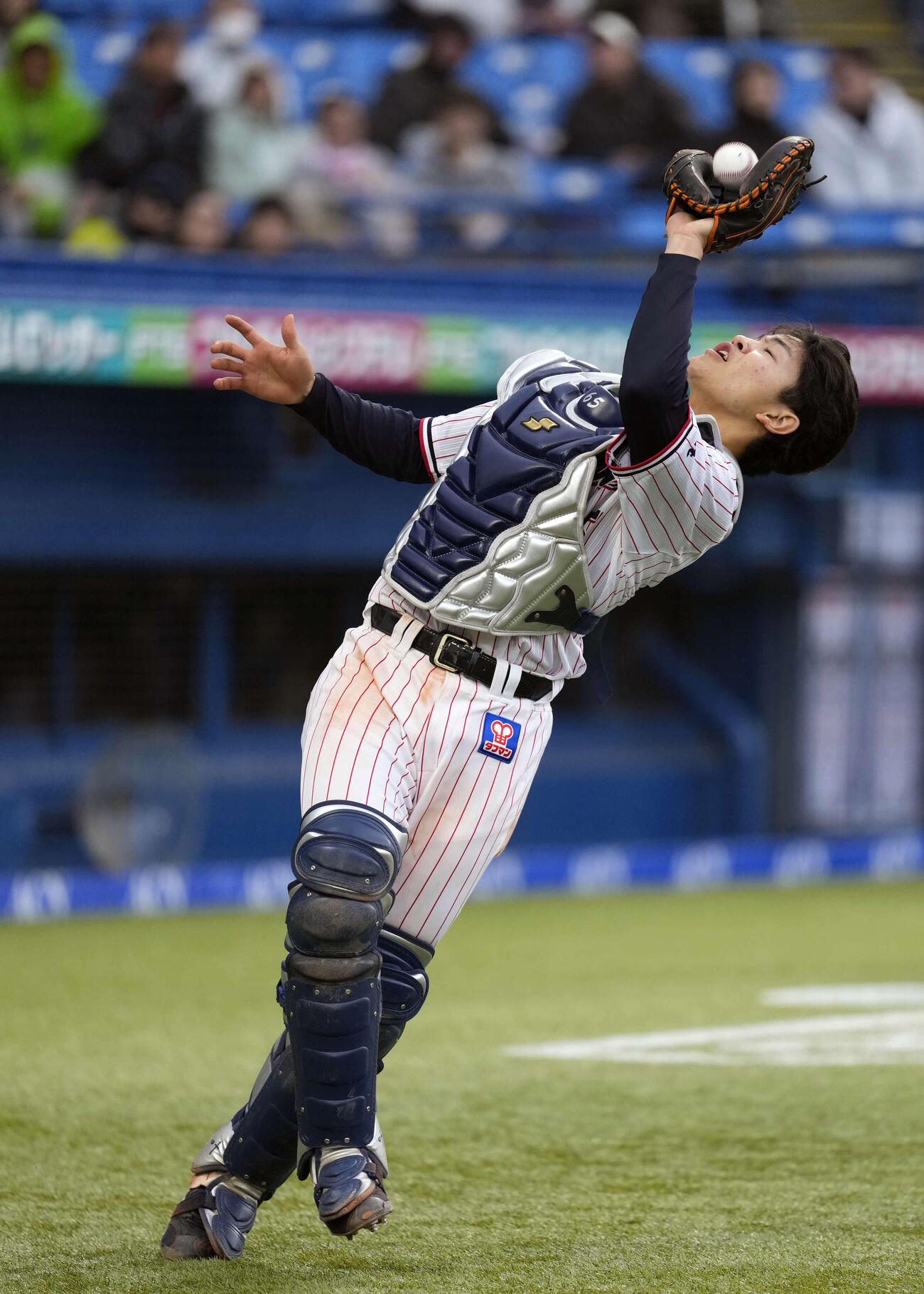 ヤクルト対中日　7回表中日1死二塁、細川の捕邪飛を捕球する鈴木叶（撮影・小島史椰）