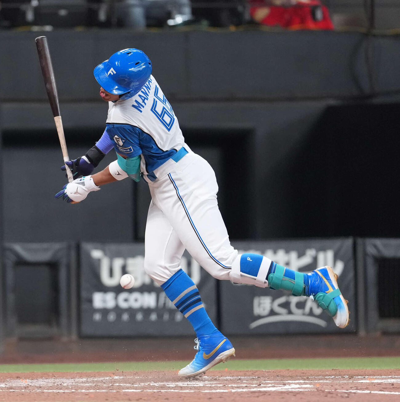 日本ハム対オリックス　6回裏日本ハム1死、死球を受ける万波（撮影・井上学）