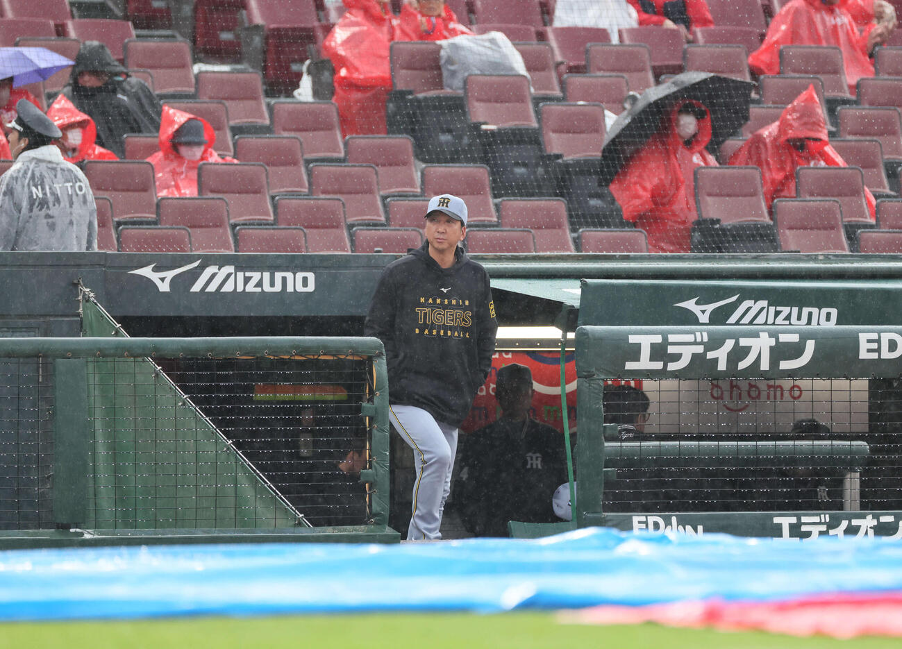 広島対阪神　5回裏途中で,雨天のため試合が中断。様子を見る藤川球児監督（撮影・加藤孝規）