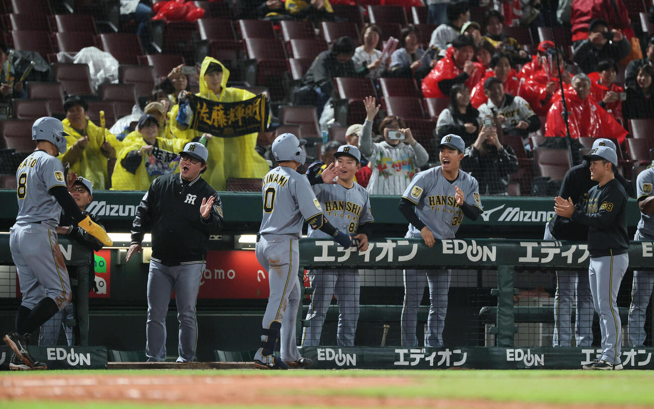 広島対阪神　10回表阪神1死一塁、勝ち越しの右越え2点本塁打を放った木浪を迎えるチームメート（撮影・加藤孝規）