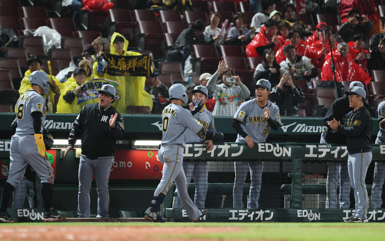 広島対阪神　10回表阪神1死一塁、勝ち越しの右越え2点本塁打を放った木浪を迎えるチームメート（撮影・加藤孝規）