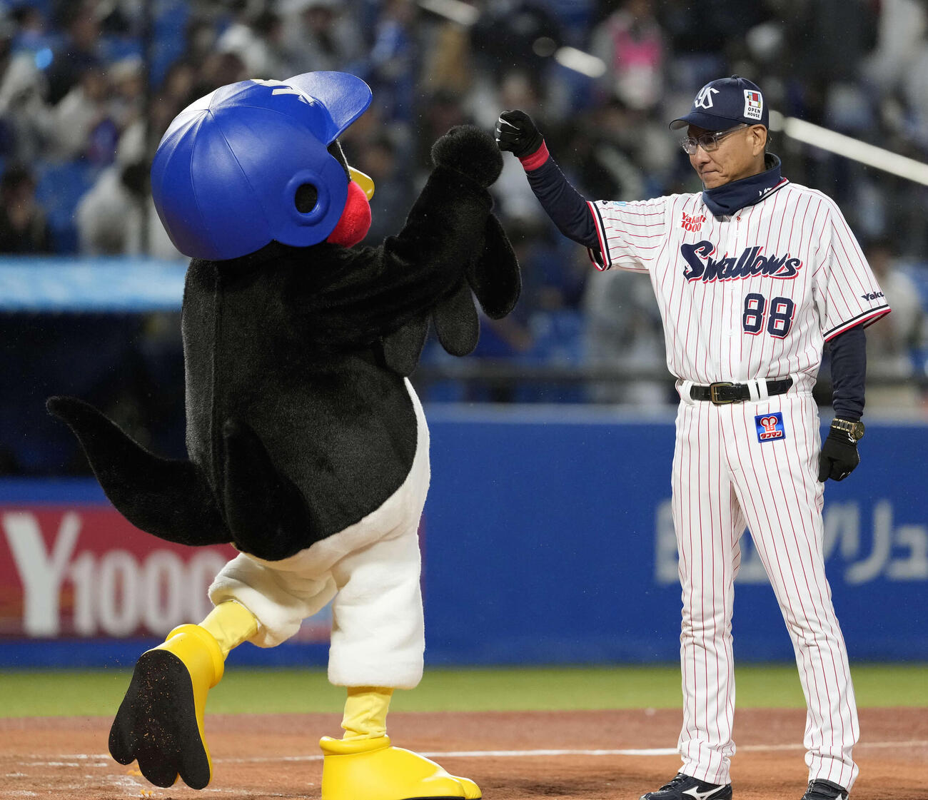 ヤクルト対中日　中日に勝利しハイタッチするつば九郎（左）とヤクルト池山監督（撮影・小島史椰）