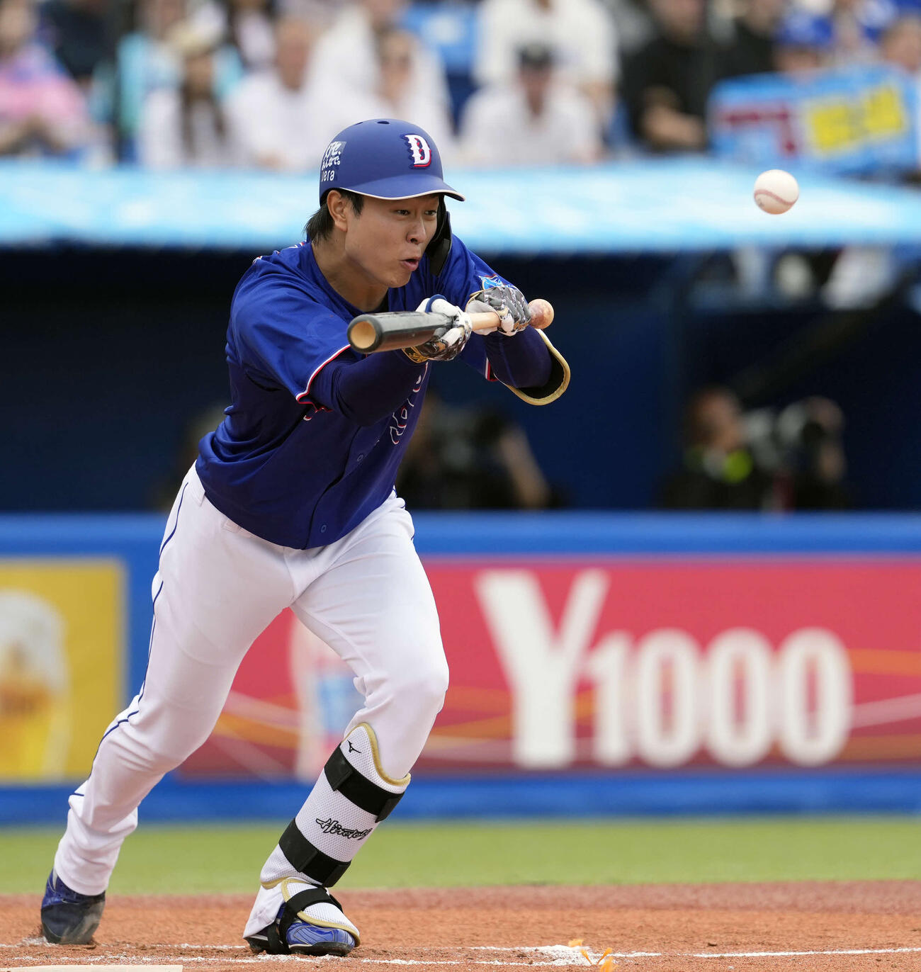 ヤクルト対中日　3回表中日無死一塁、犠打を成功させる高橋宏（撮影・小島史椰）