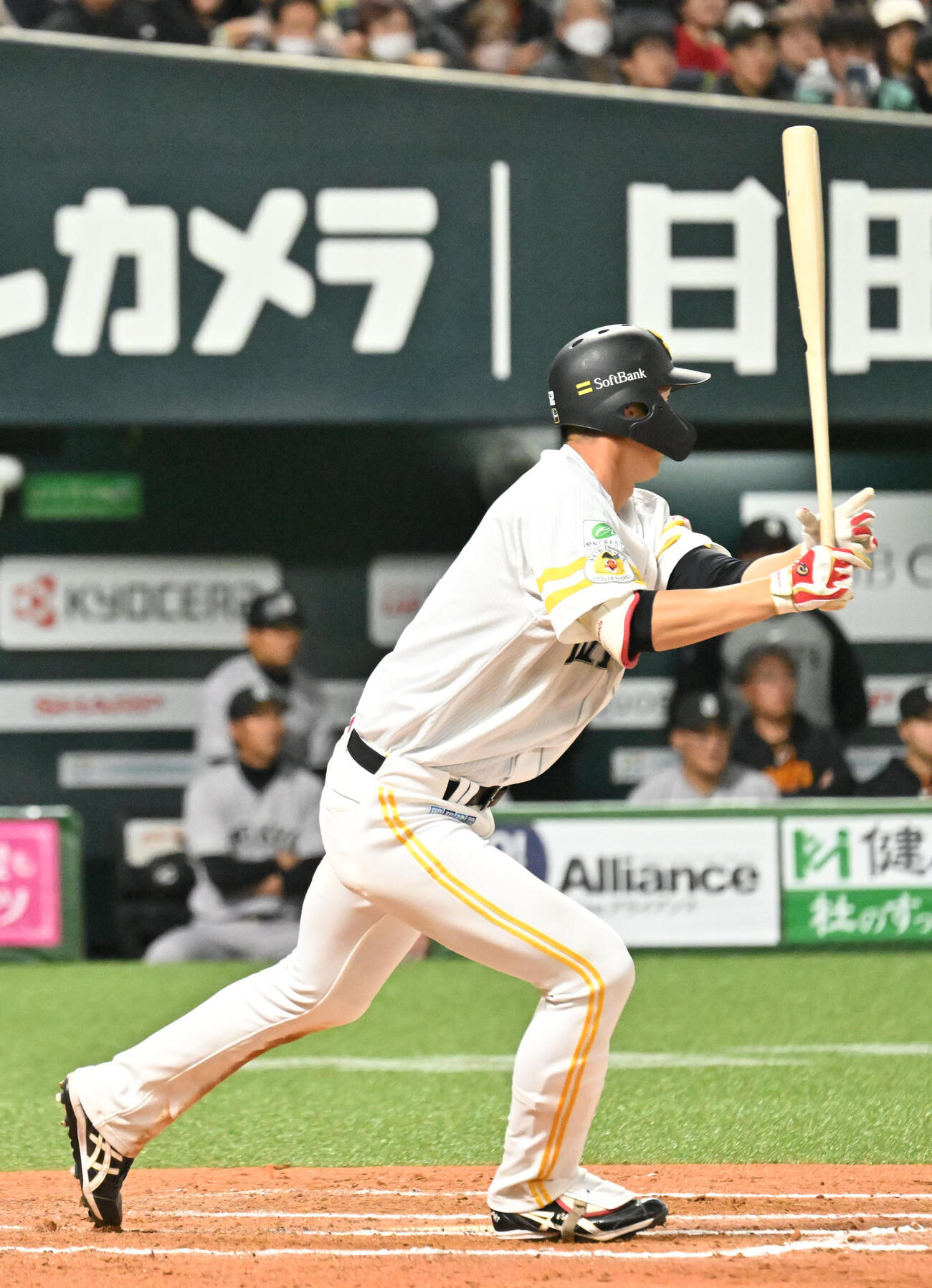 ソフトバンク秋広優人（26年3月撮影）