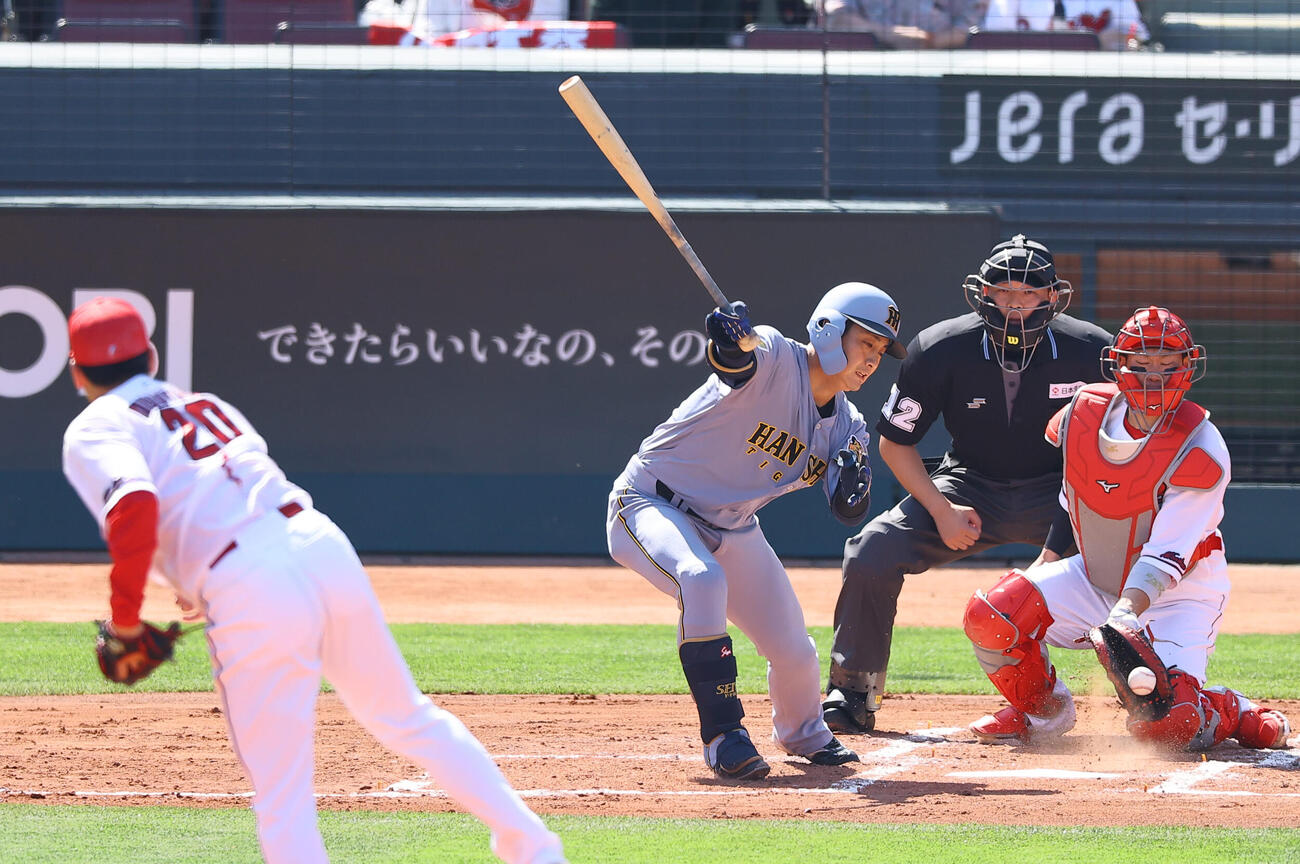 広島対阪神　2回表阪神2死、木浪は三振に倒れる（撮影・上田博志）