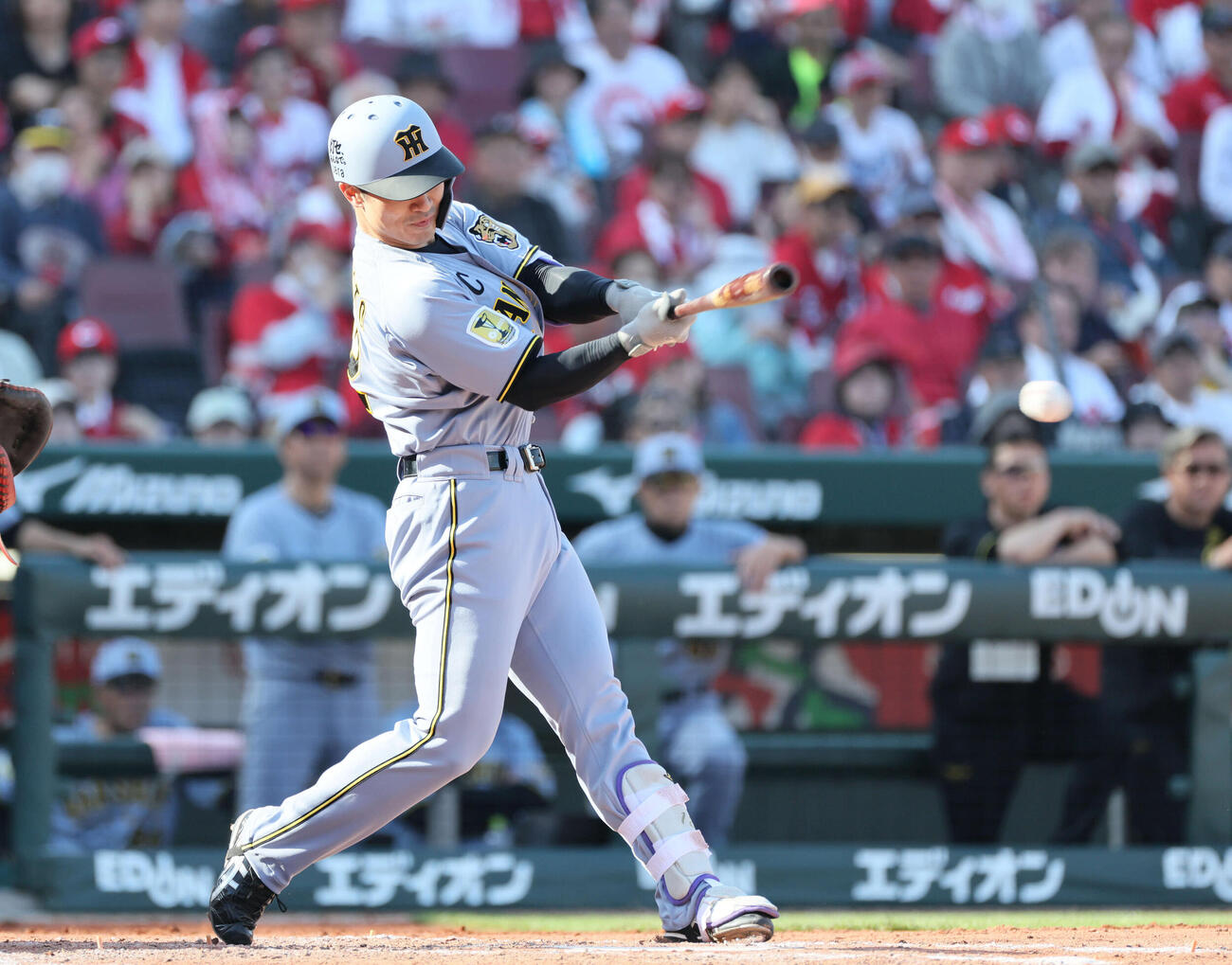 広島対阪神　8回表阪神1死二塁、代打の坂本は左前打を放つ（撮影・加藤孝規）