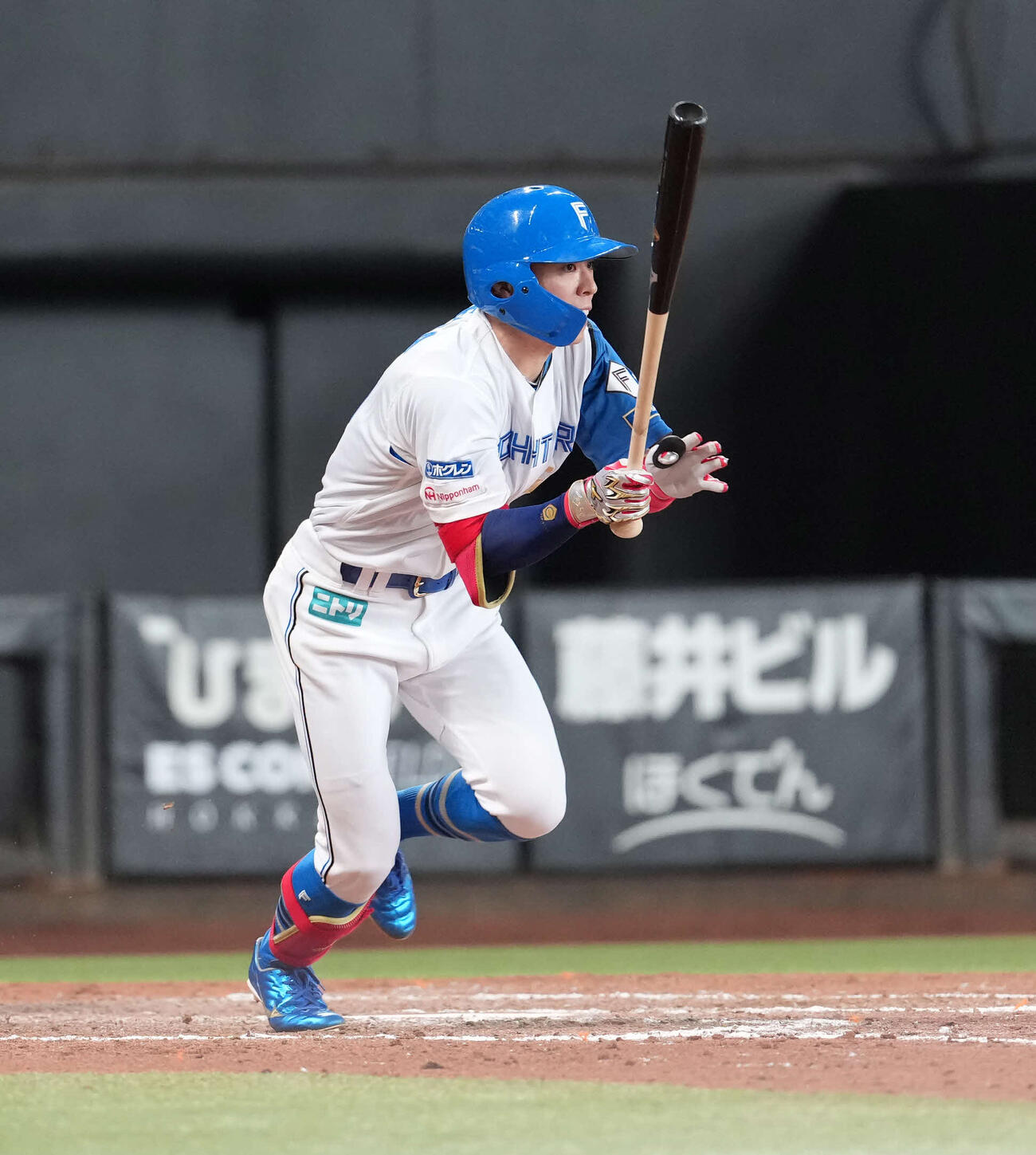 日本ハム対オリックス　8回に適時打を放つ五十幡（撮影・井上学）