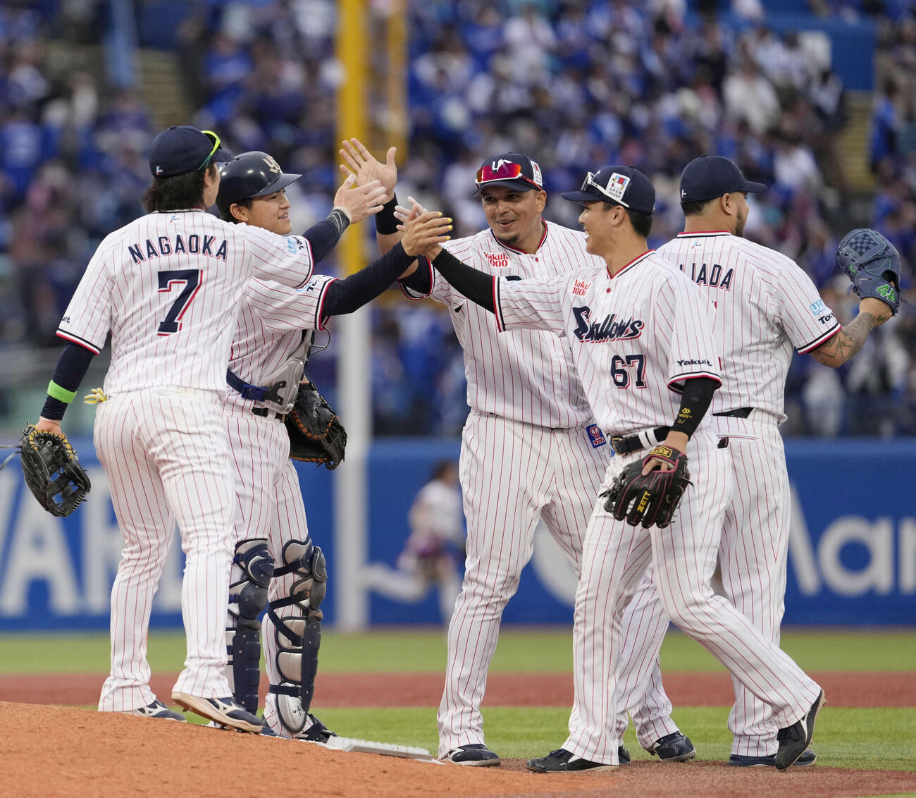 ヤクルト対中日　中日に勝利しタッチを交わすヤクルトナイン（撮影・小島史椰）