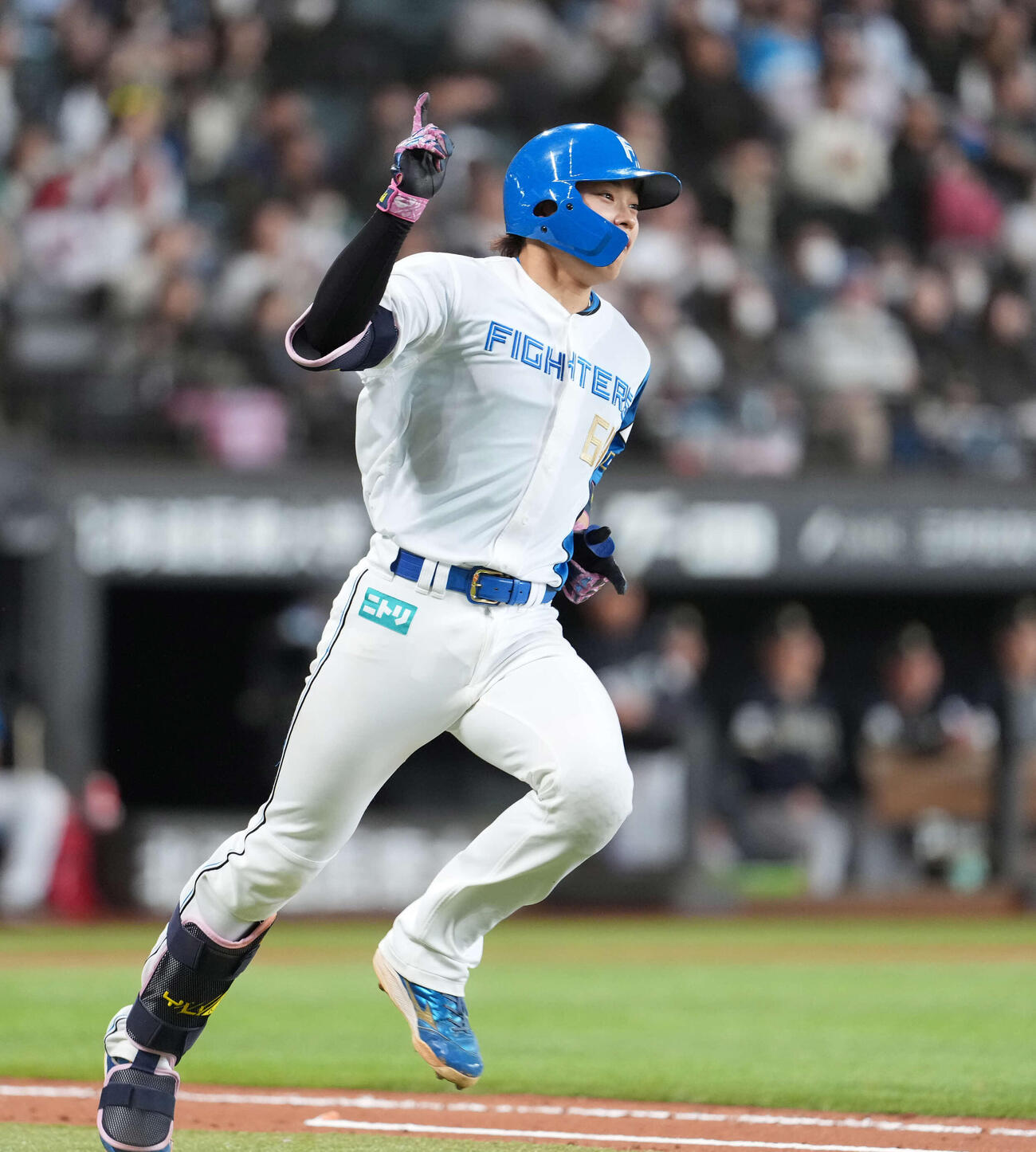 日本ハム対オリックス　8回裏日本ハム無死、本塁打を放つ田宮（撮影・井上学）