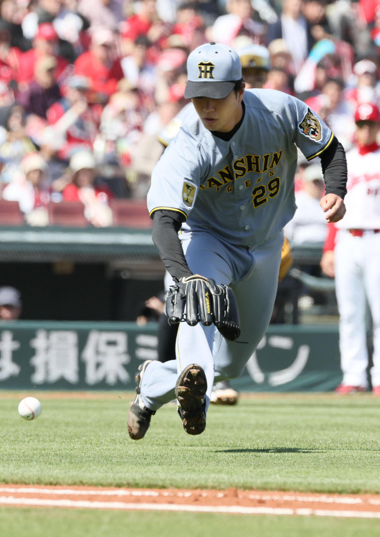 広島対阪神　1回裏広島無死一塁、中村奨のバントを好処理する阪神先発の高橋（撮影・加藤孝規）